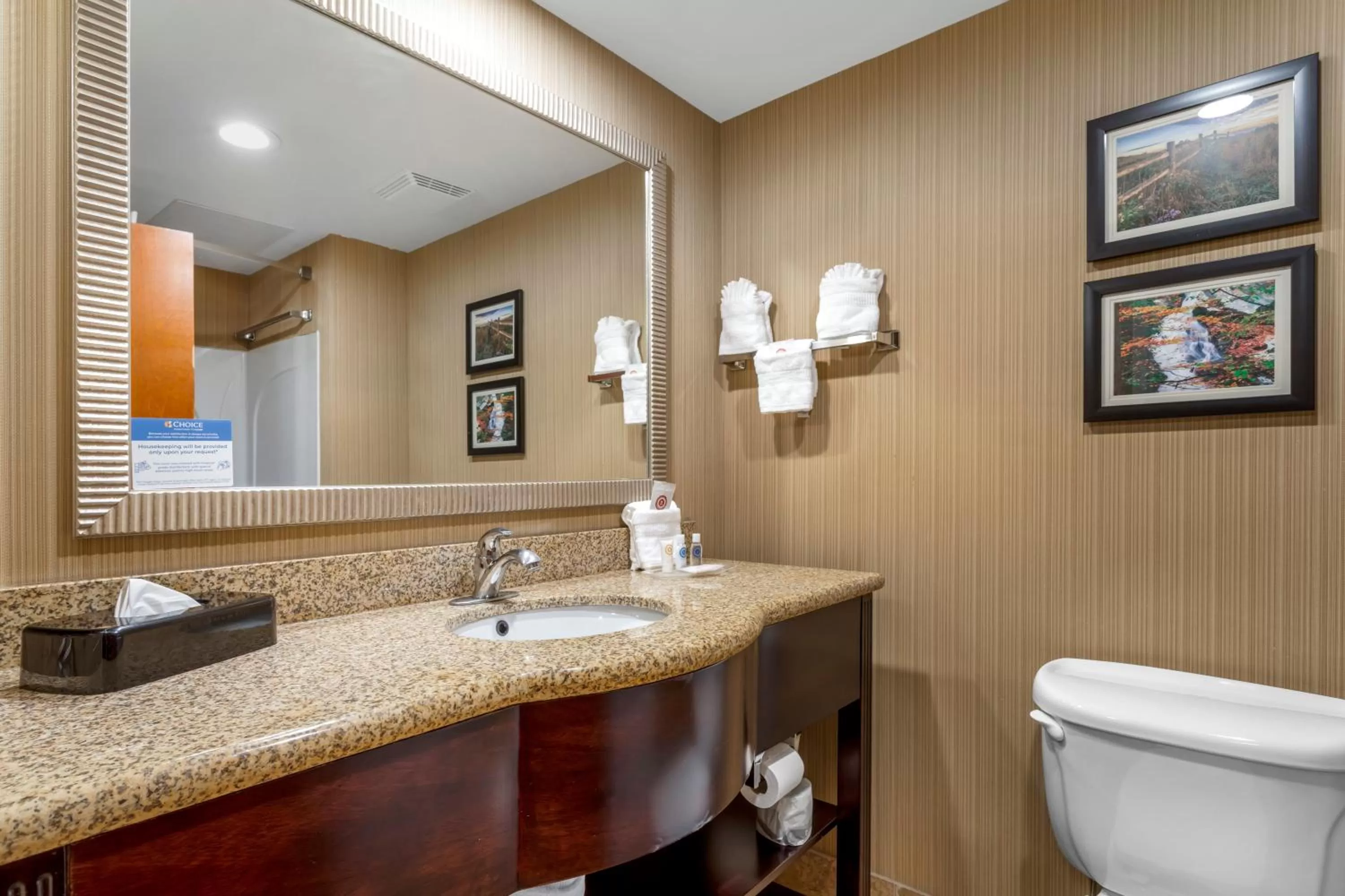 Bathroom in Comfort Suites Knoxville North