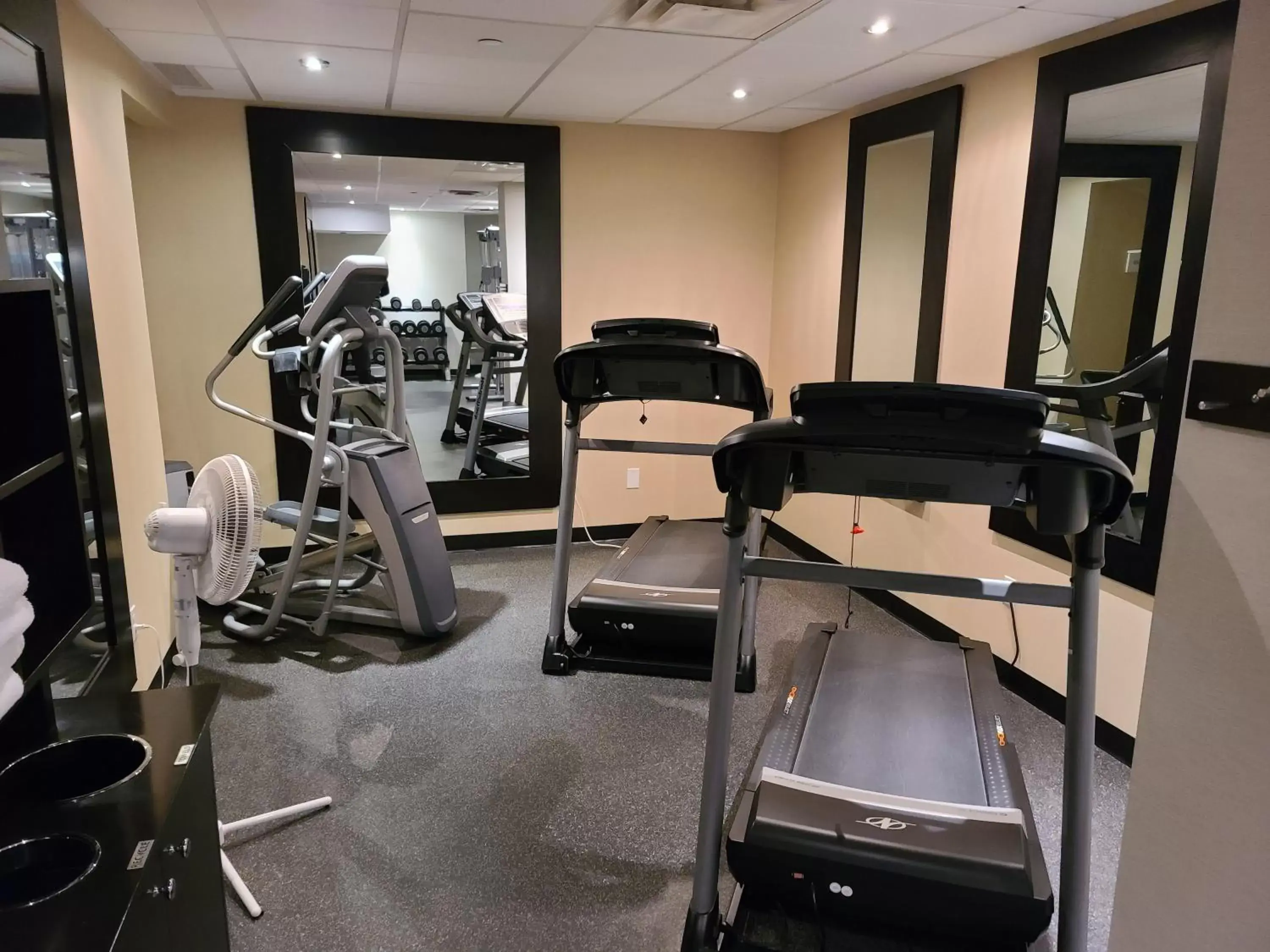 Fitness centre/facilities, Fitness Center/Facilities in Kitchener Inn & Suites