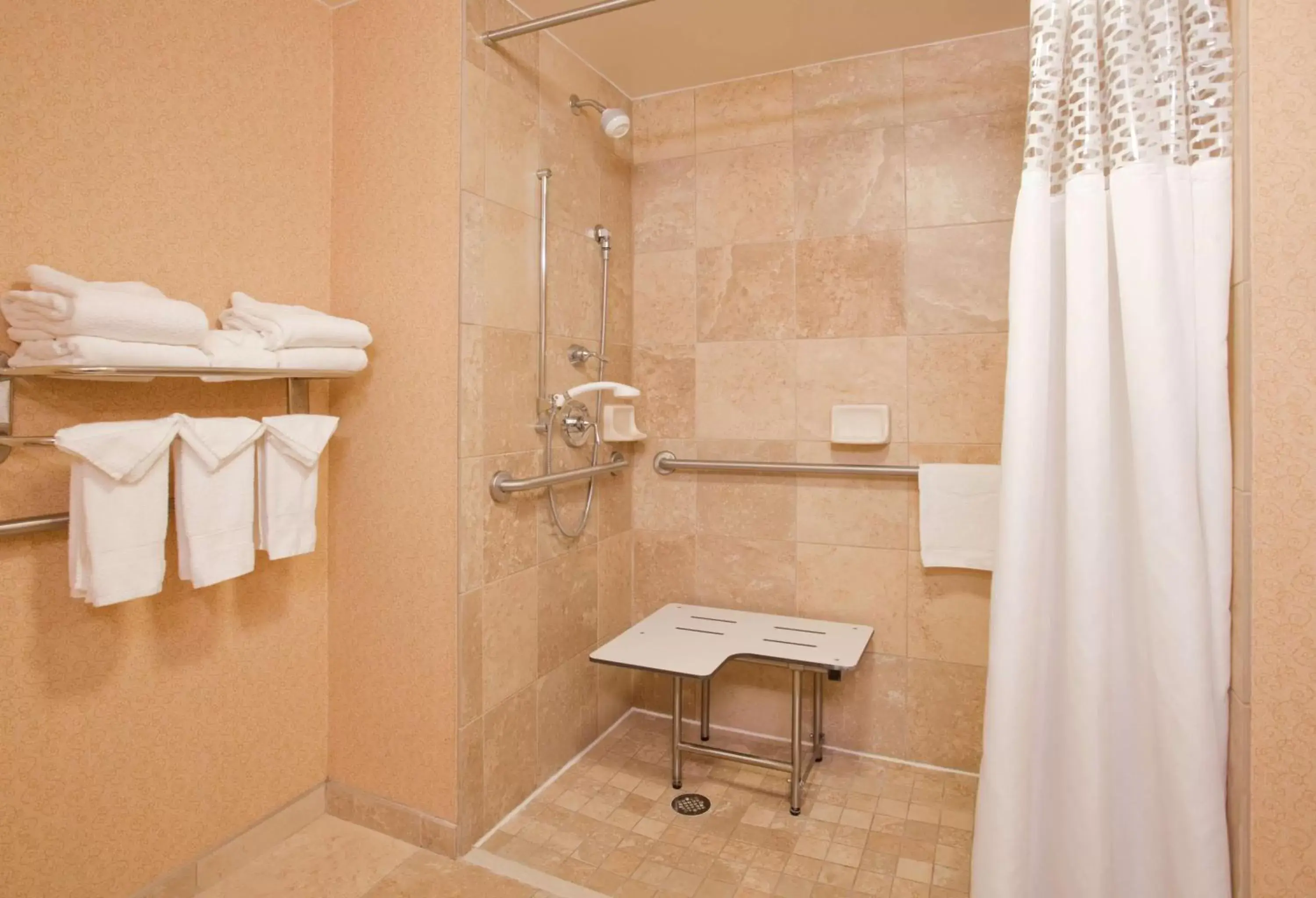 Bathroom in Hampton Inn & Suites Omaha Southwest-La Vista