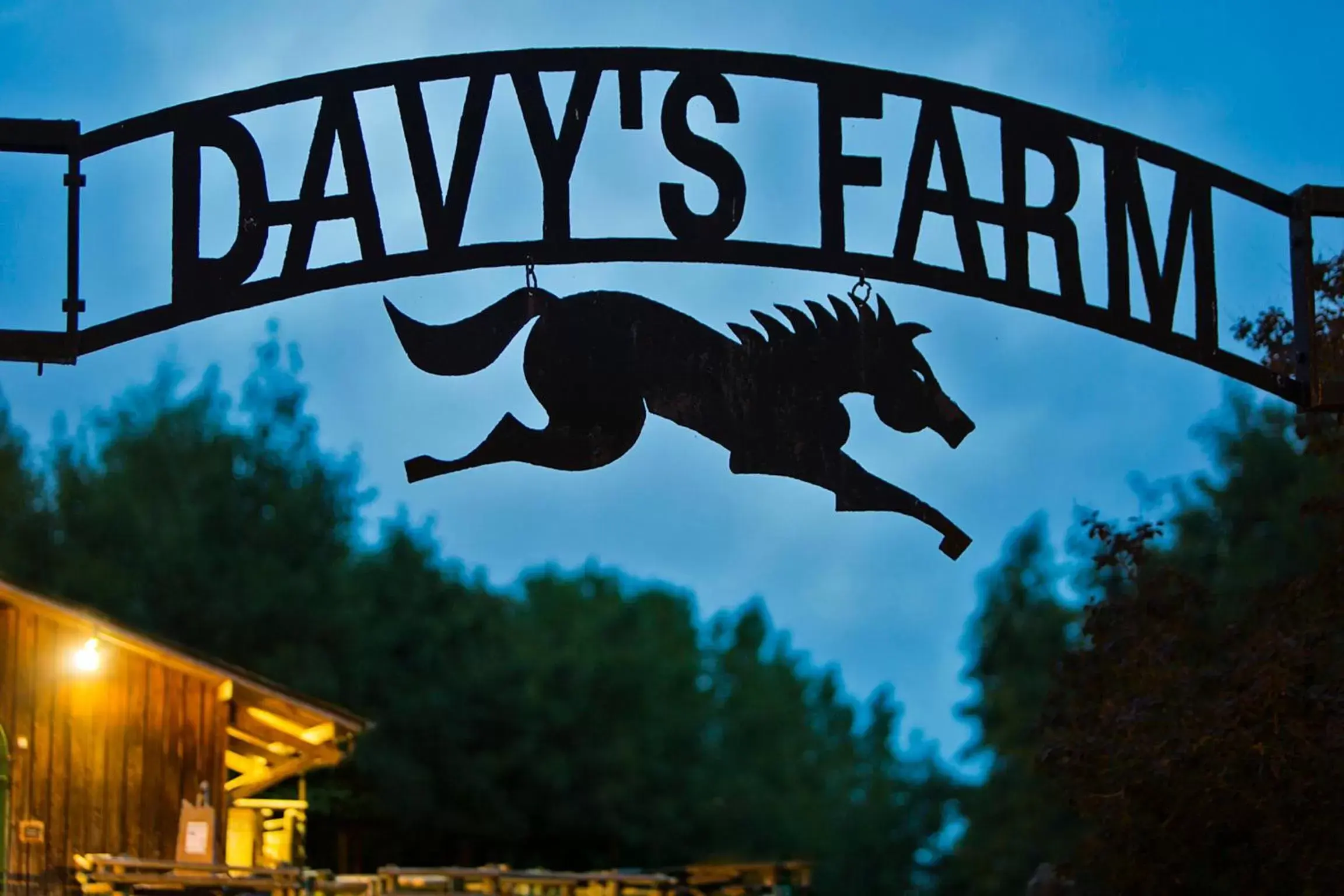 Decorative detail in Disney Davy Crockett Ranch