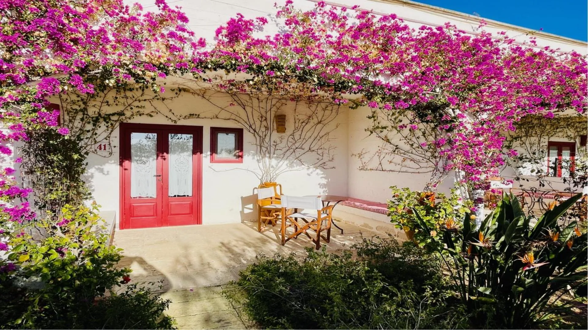 View (from property/room) in Masseria Torre Coccaro
