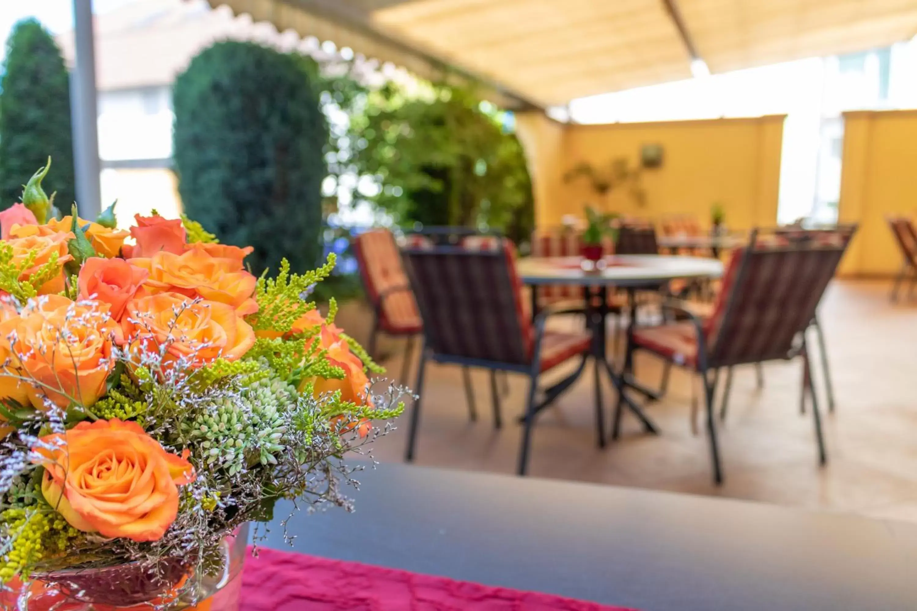 Balcony/Terrace in Hotel Lamm