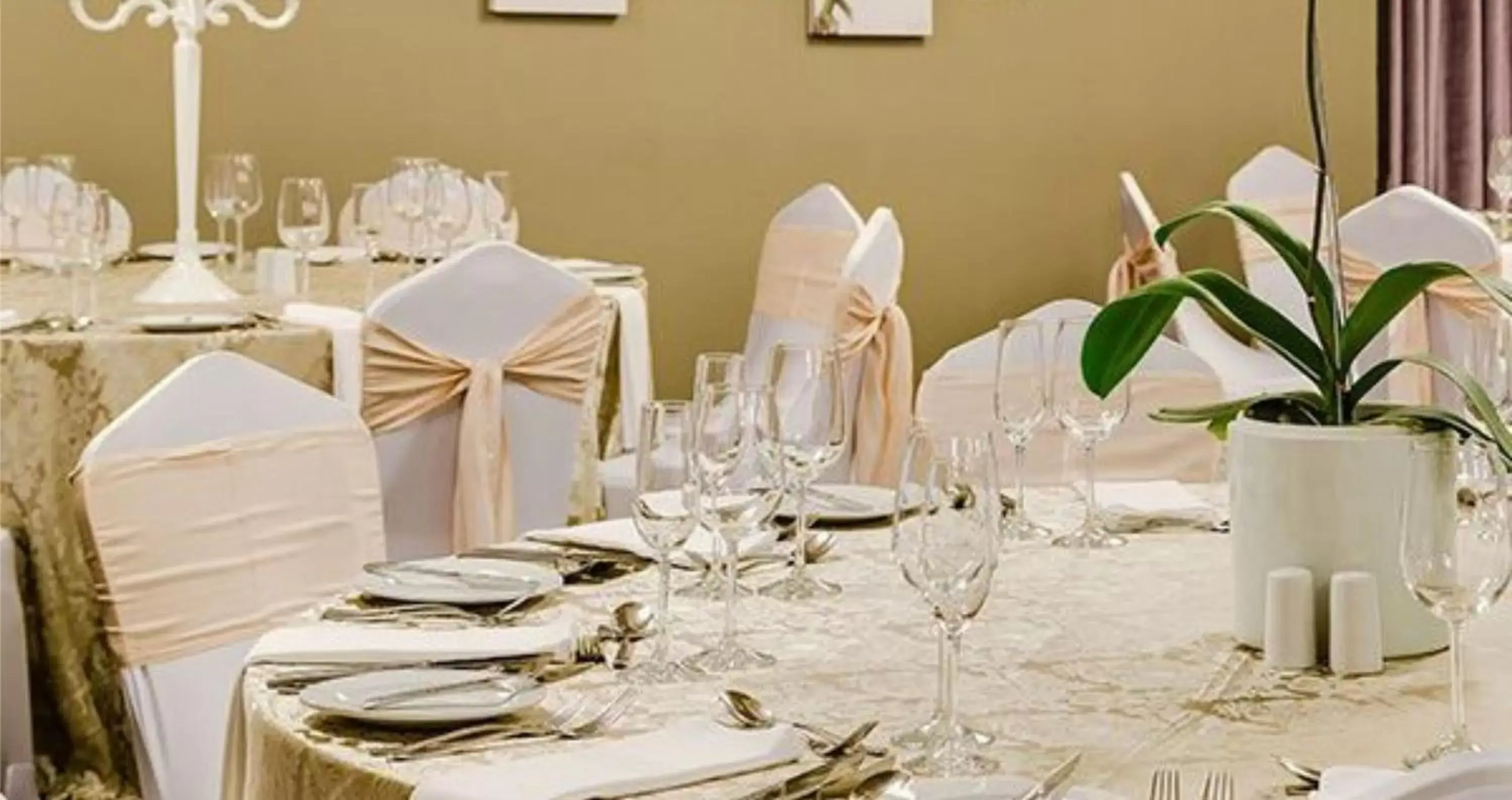 Banquet/Function facilities, Restaurant/Places to Eat in ANEW Hotel Hatfield Pretoria