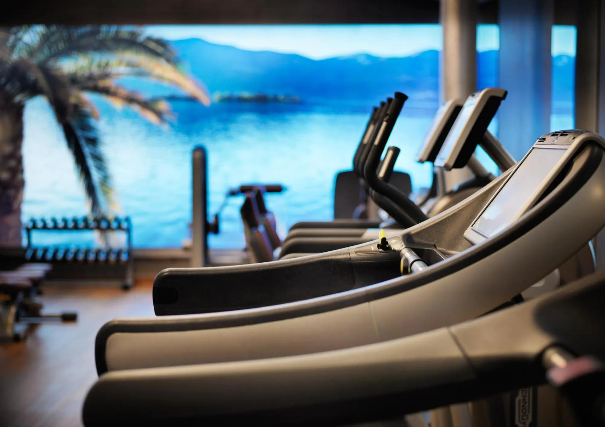 Fitness centre/facilities in Giardino Ascona