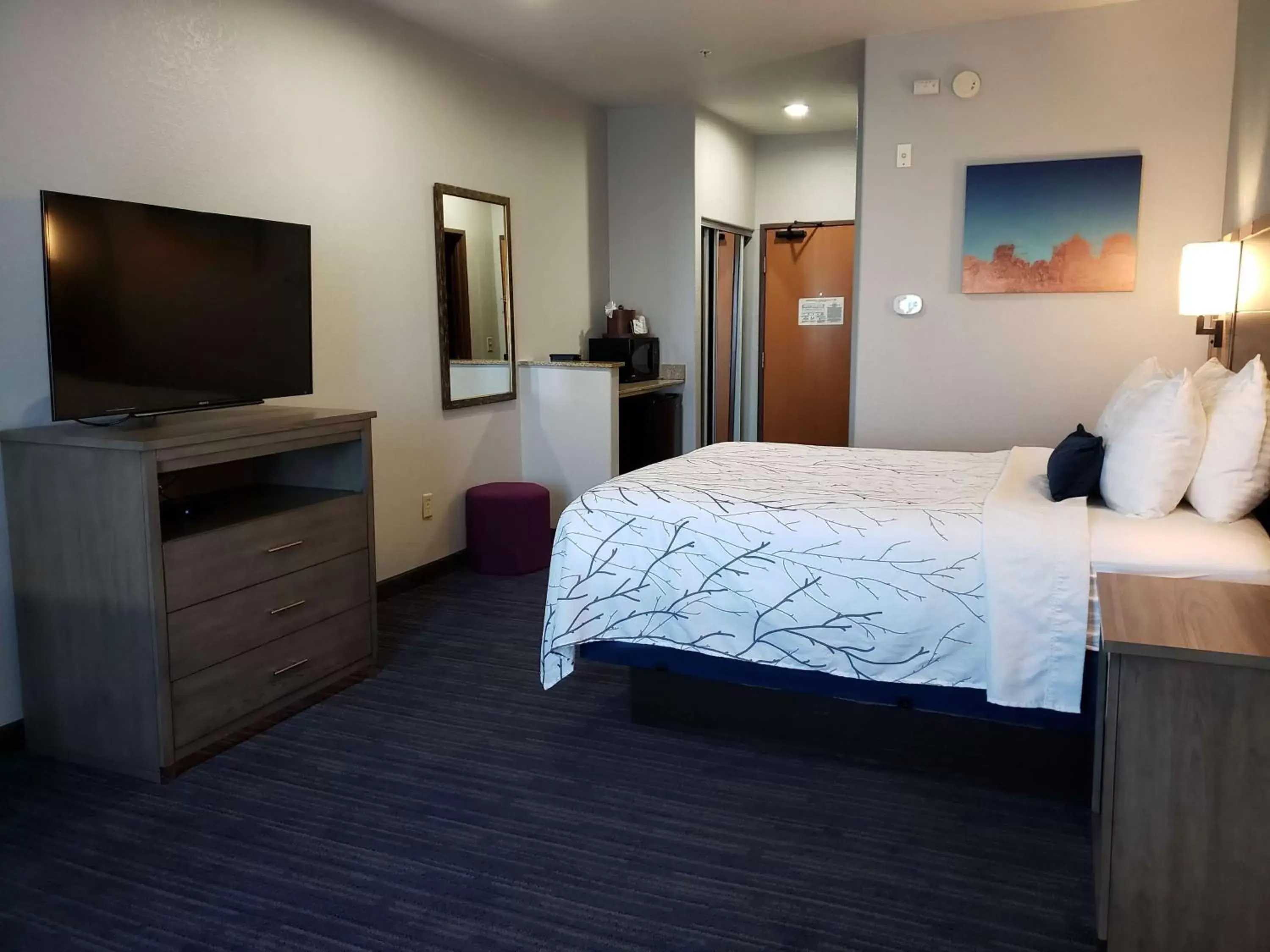 Photo of the whole room, Bed in Best Western Plus San Antonio East Inn & Suites