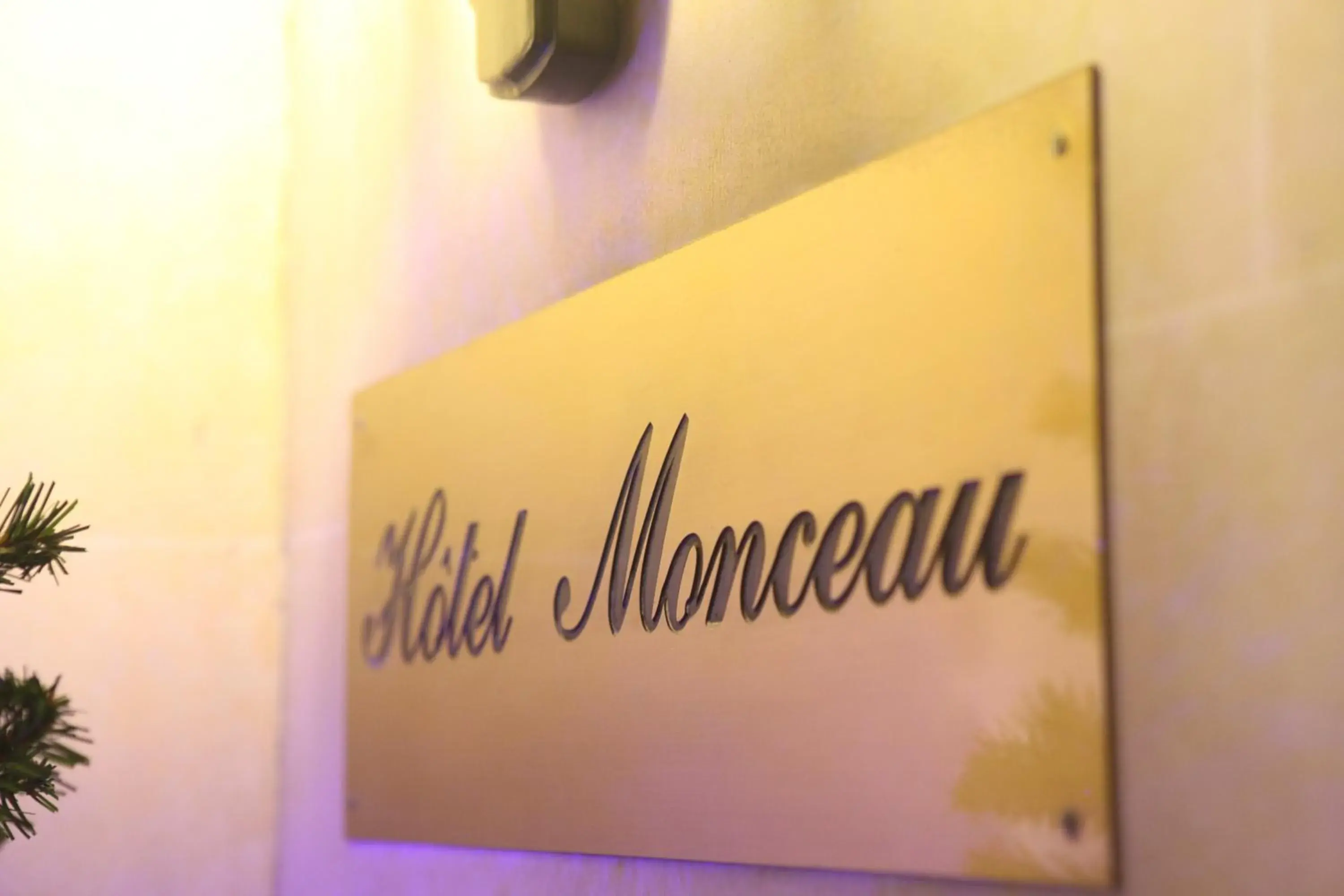 Decorative detail in Hotel Monceau Wagram
