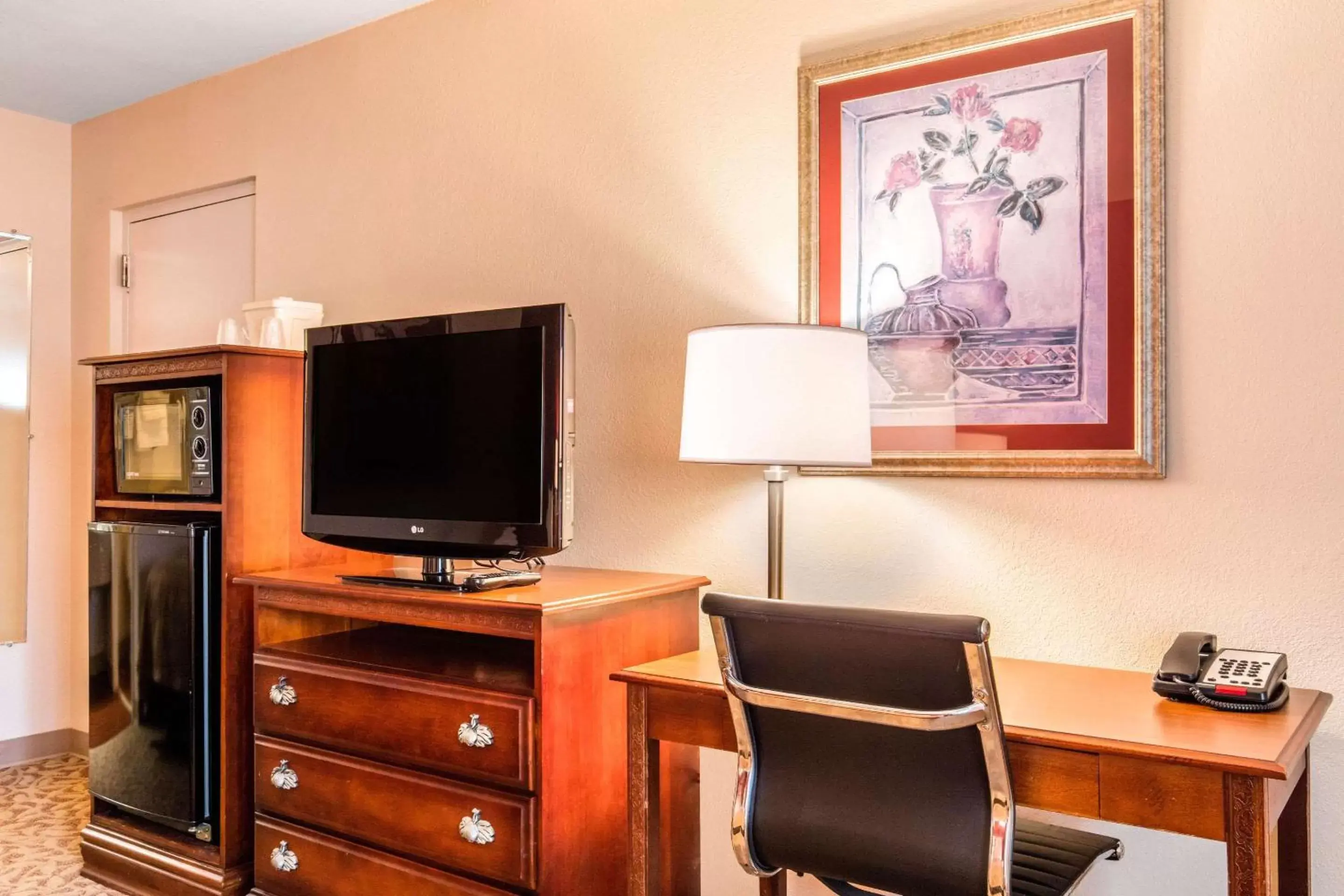 Photo of the whole room, TV/Entertainment Center in Quality Inn Pelham I-65 exit 246