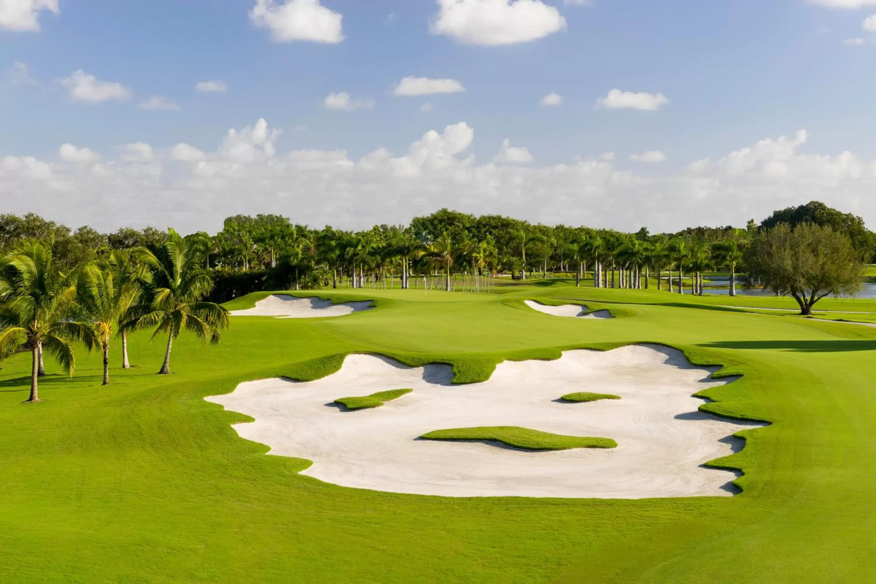 Golfcourse, Golf in Trump National Doral Golf Resort