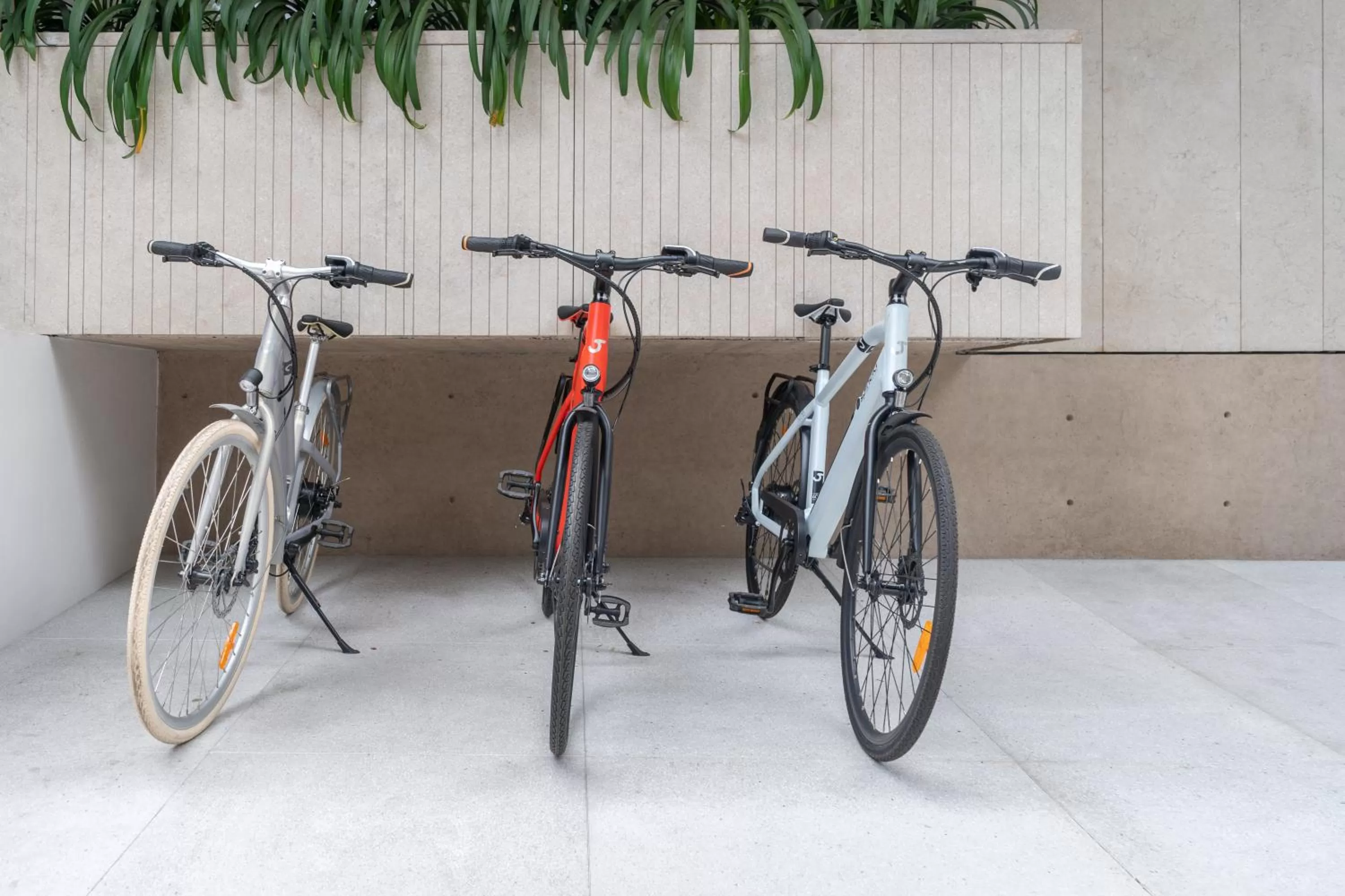 Activities in Casa Polanco Hotel Boutique