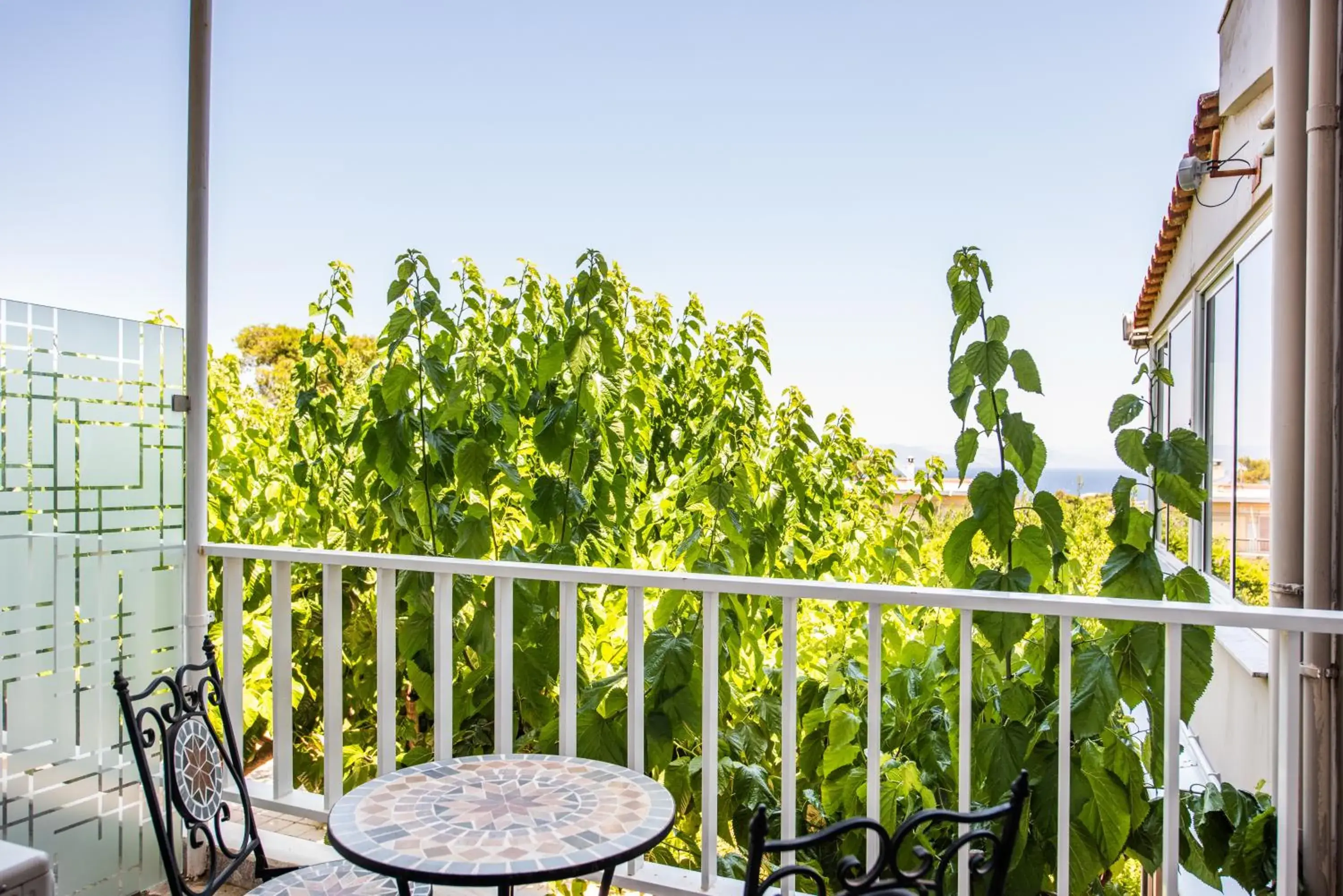 Summer, Balcony/Terrace in Myrto Hotel