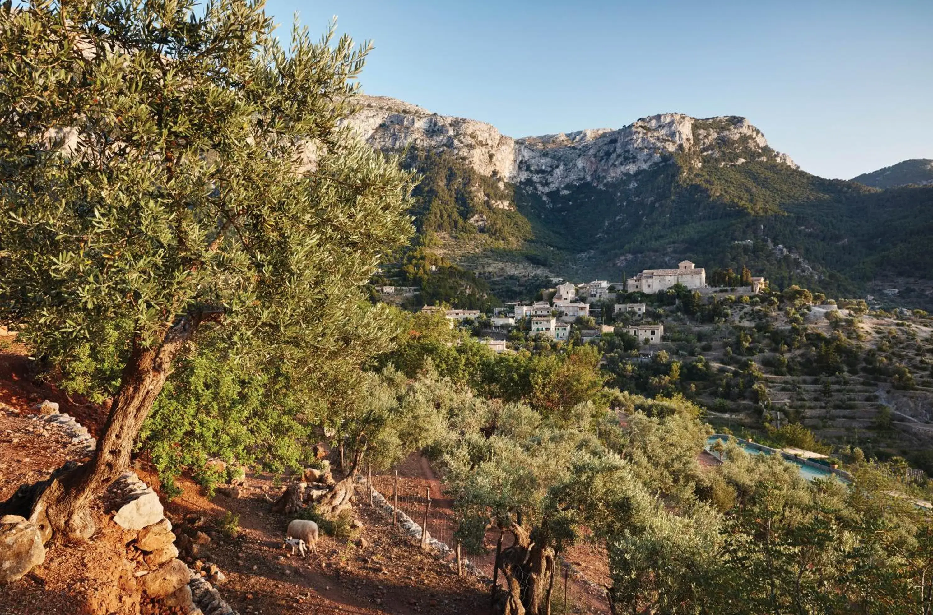 Garden in La Residencia, A Belmond Hotel, Mallorca