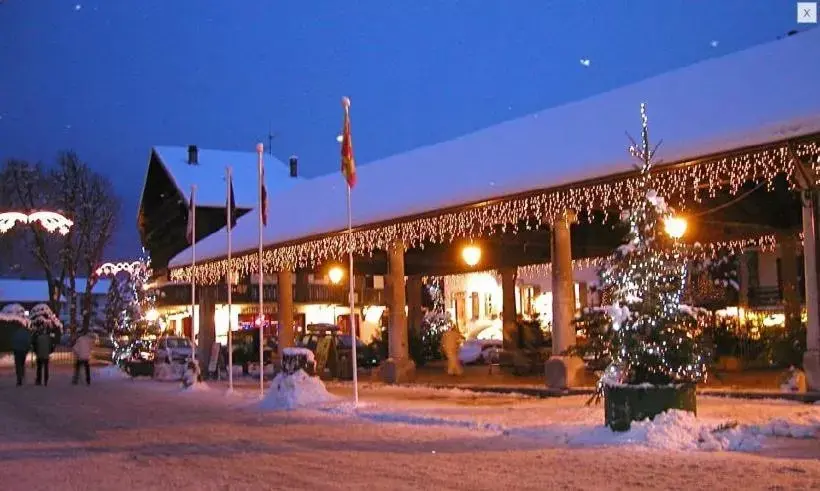 Facade/entrance in Hôtel Les Glaciers