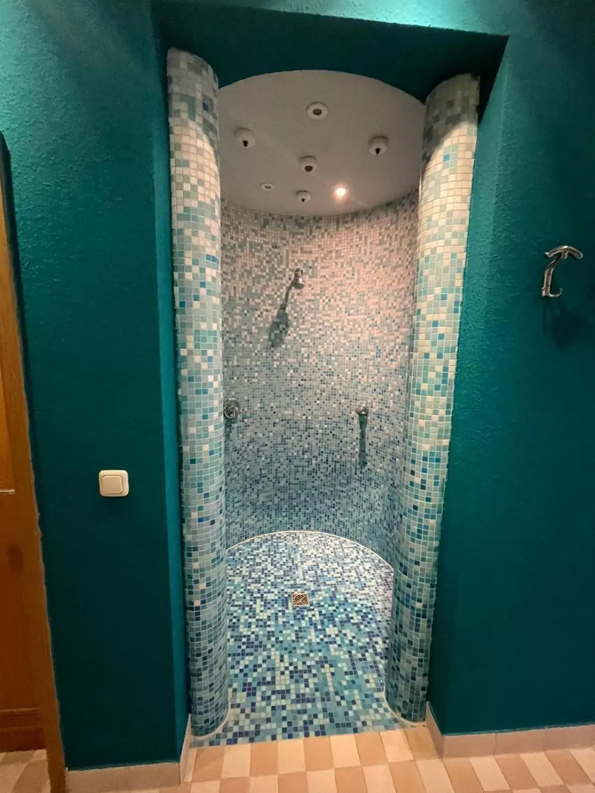 Shower, Bathroom in Parkhotel Waldschlösschen