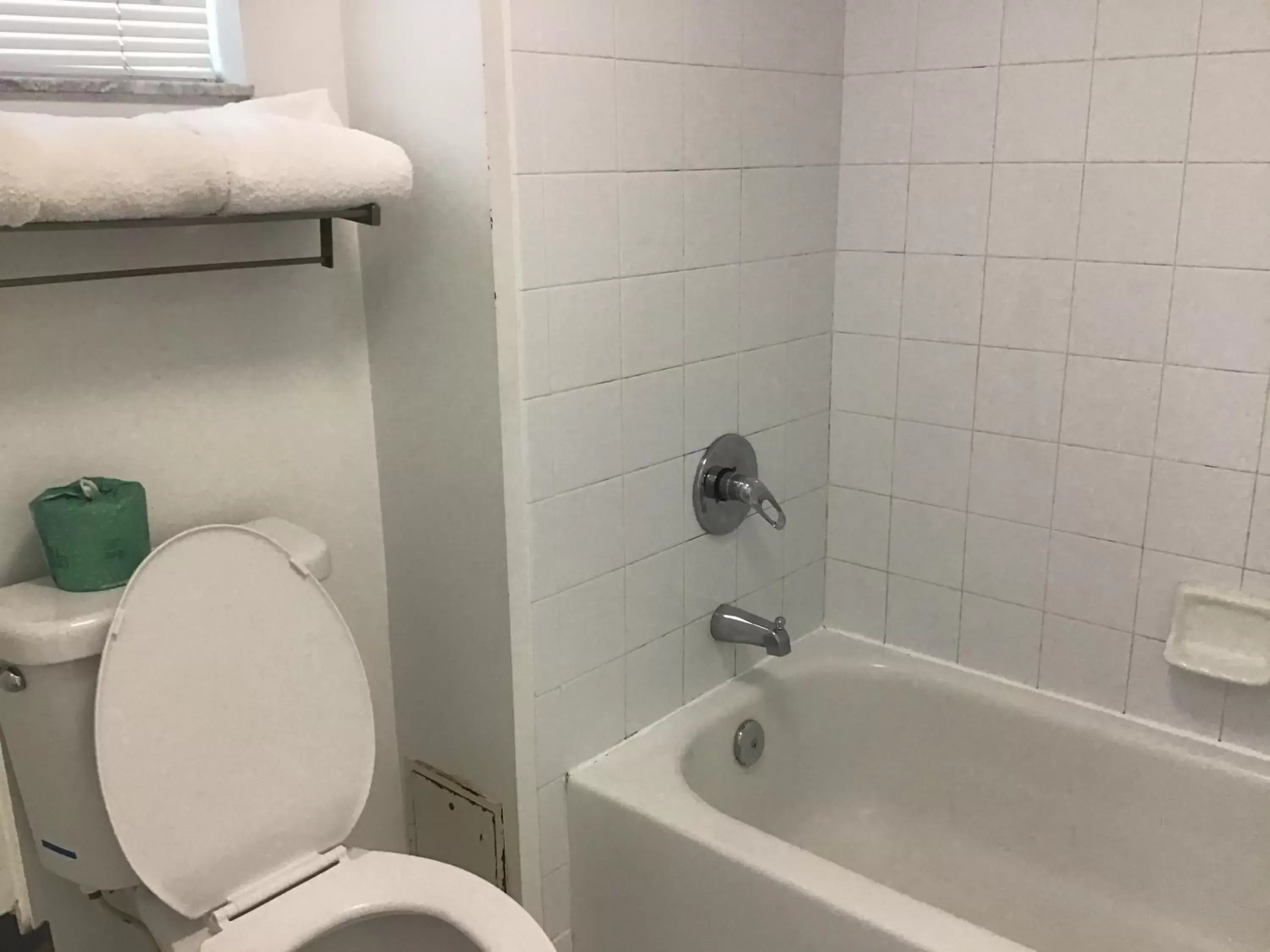 Toilet, Bathroom in Anastasia Inn - Saint Augustine