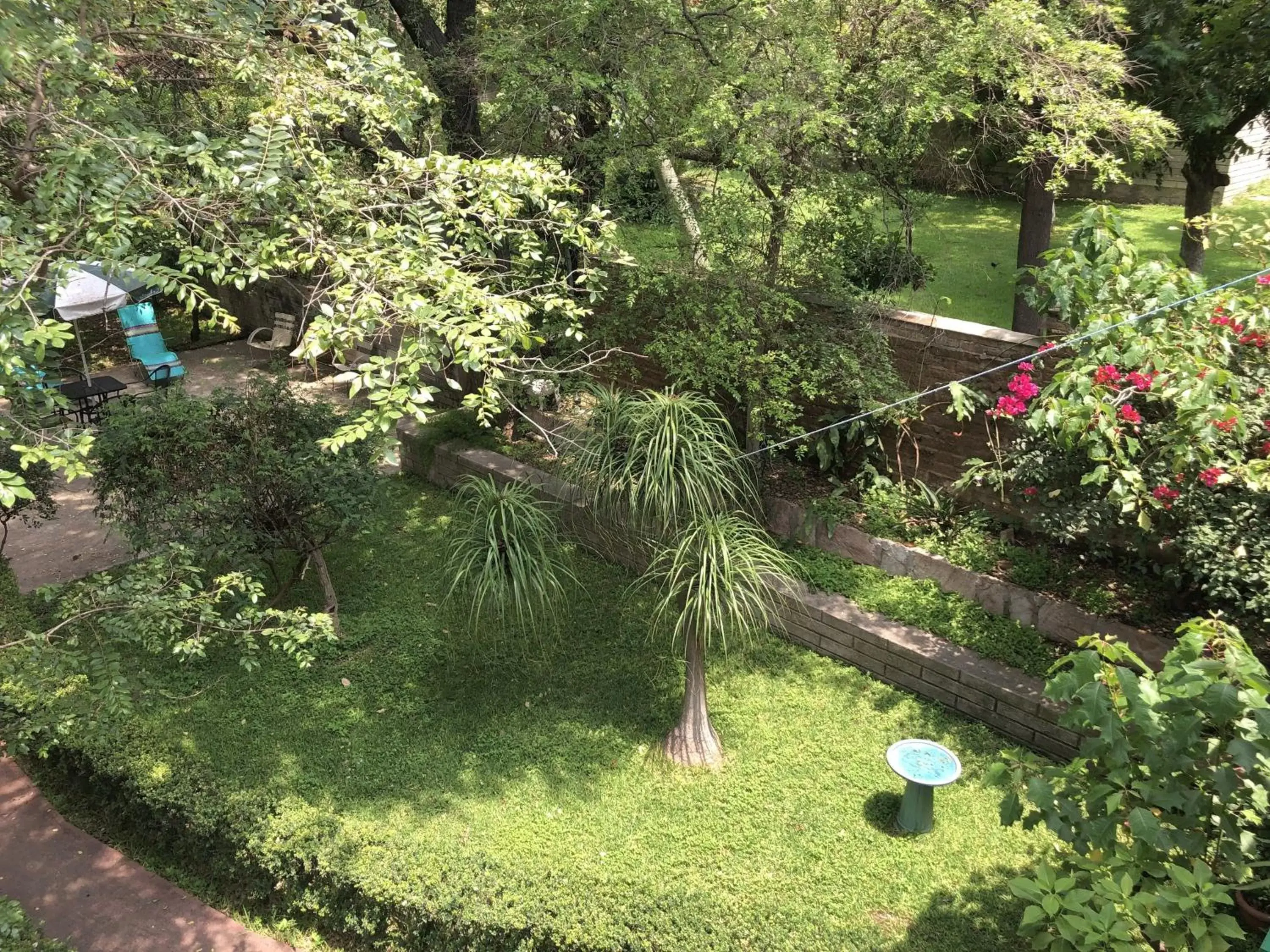 Garden in Casa del Retoño