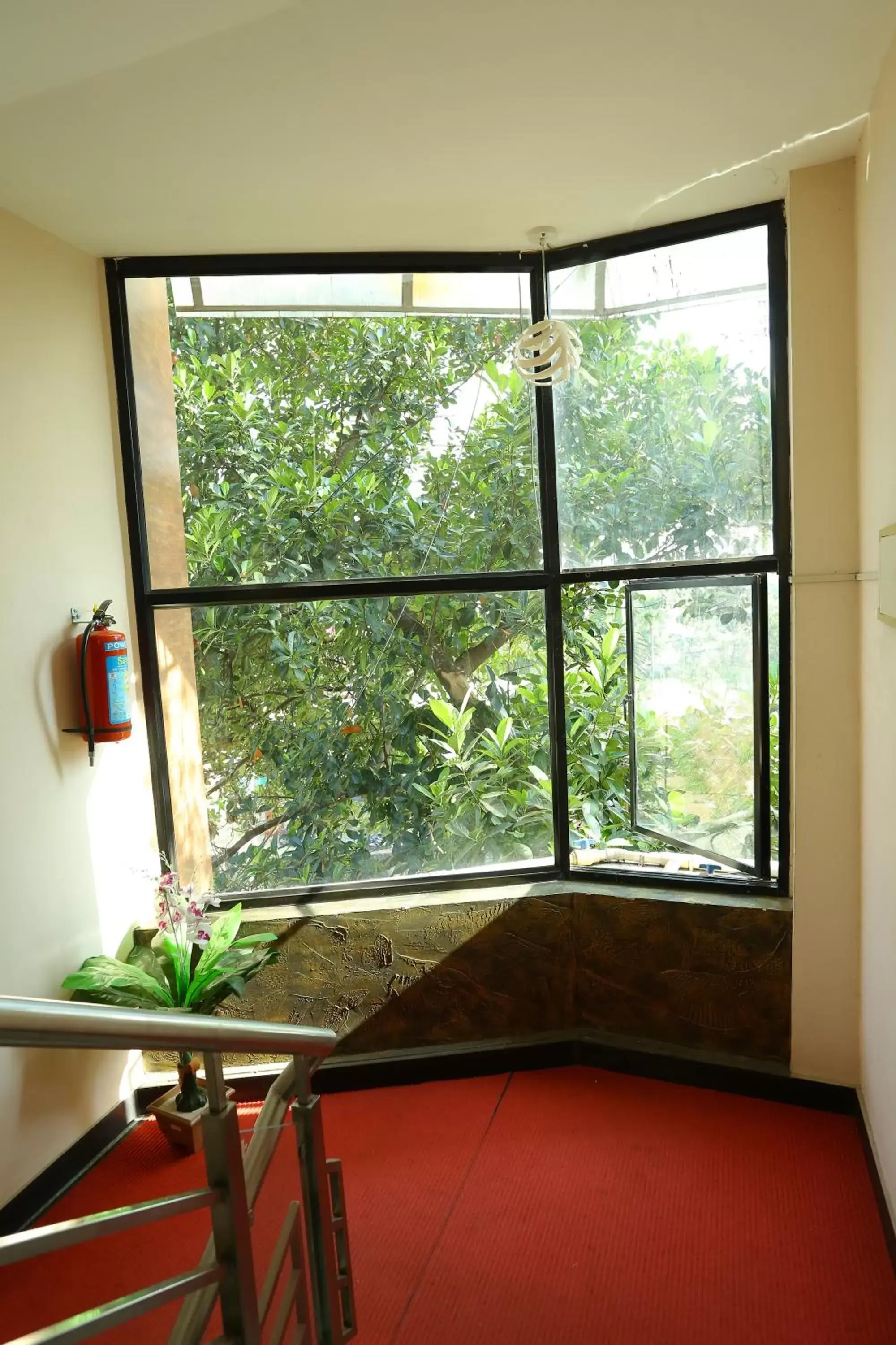 Garden view in Hotel Innate Inn Garden view in Hotel Innate Inn