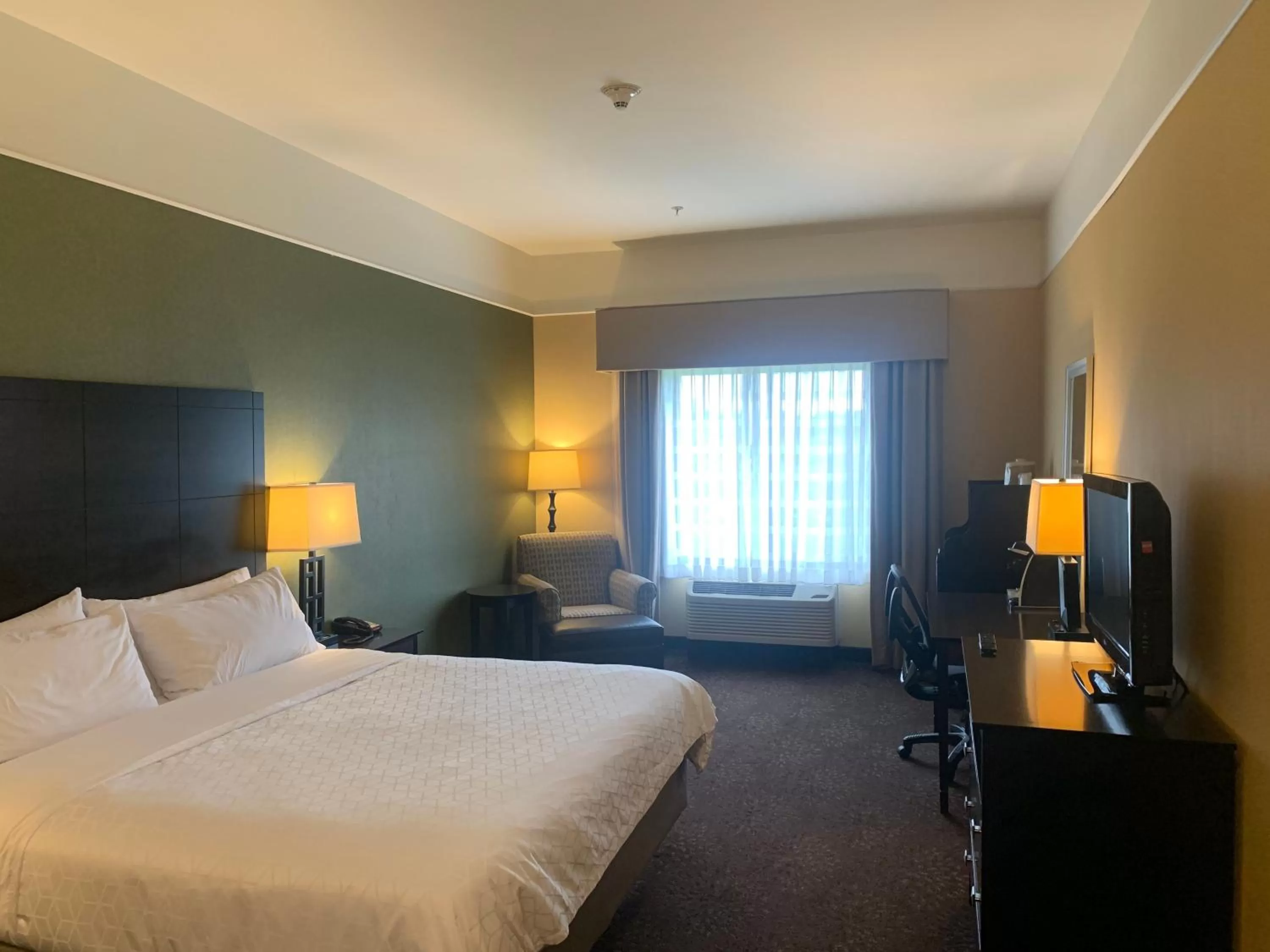 Photo of the whole room, Bed in Holiday Inn Express Hotel & Suites Lansing-Dimondale by IHG