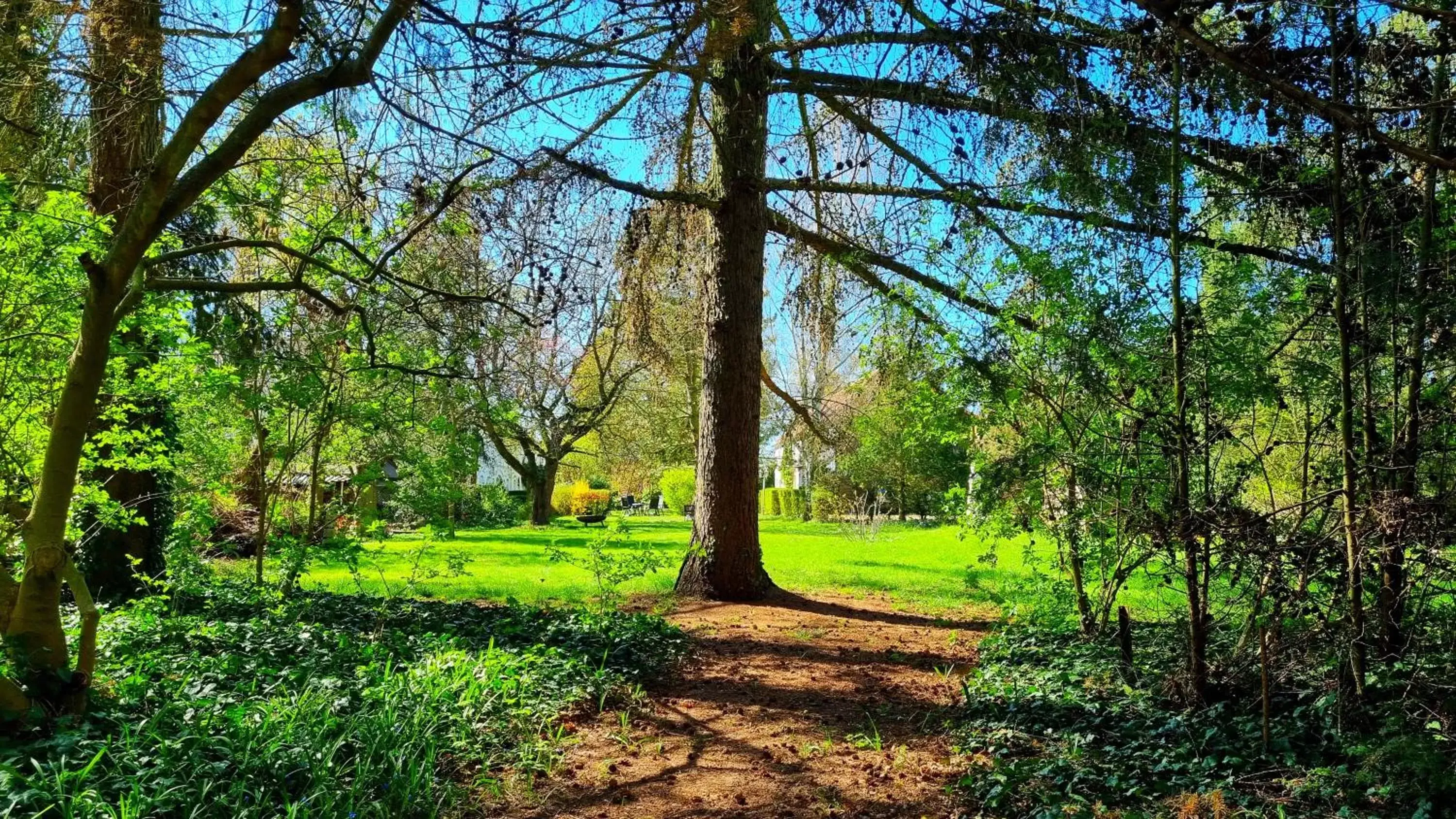 Garden in Landhaus Kyritz