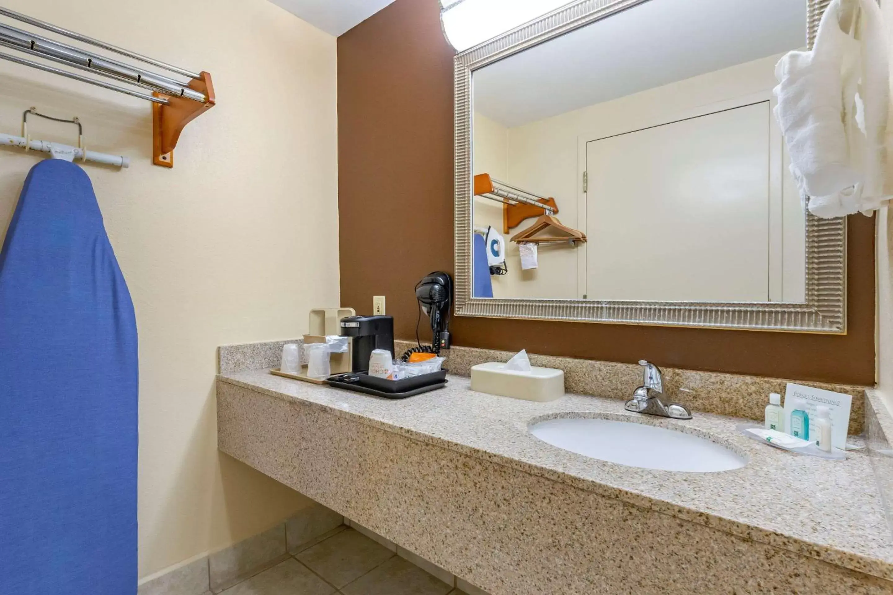 Bathroom, Coffee/Tea Facilities in Quality Inn & Suites Hanes Mall