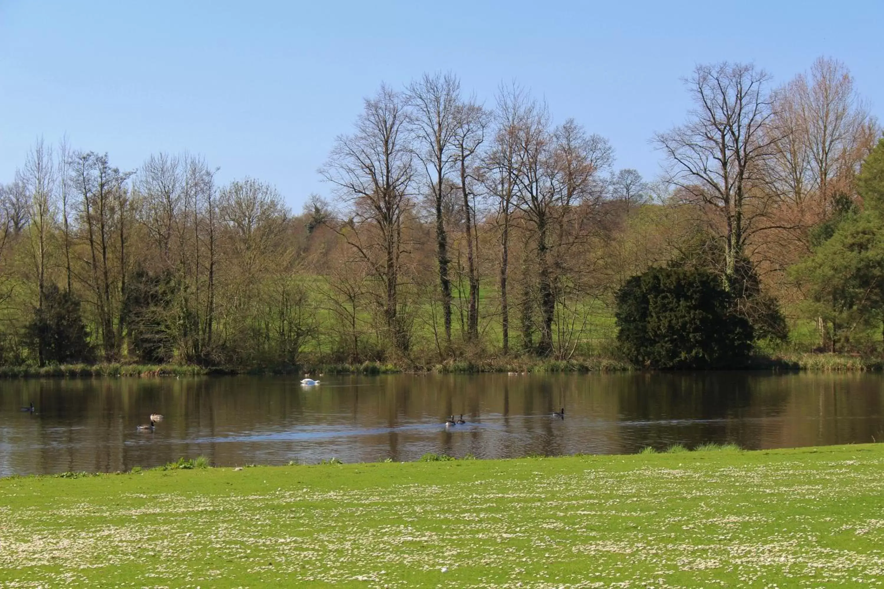 River view in Donnington Grove