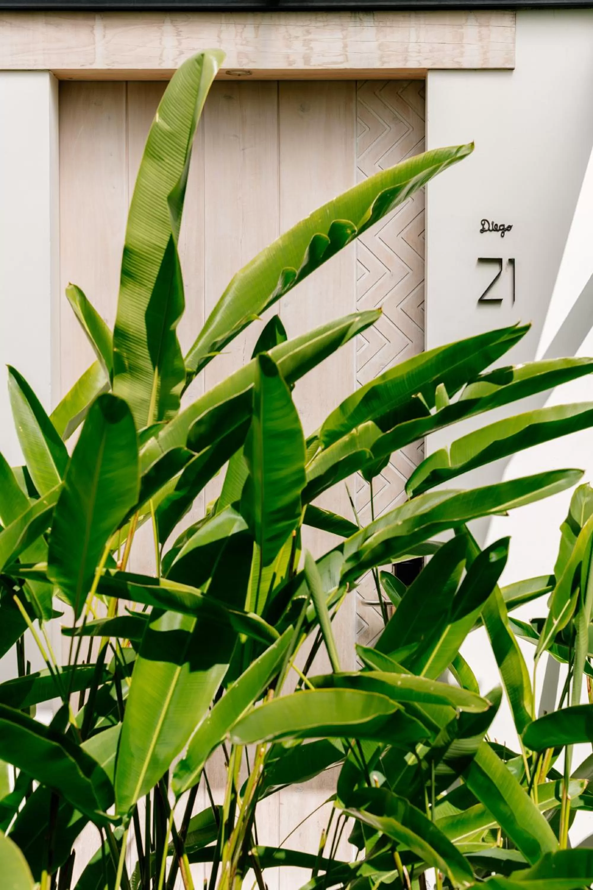 Garden in Good Hotel Antigua