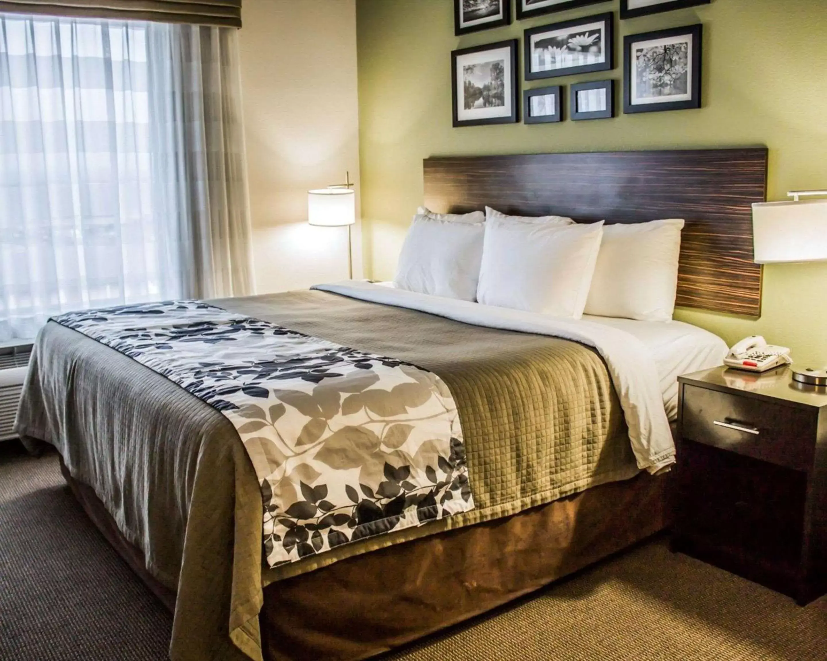 Photo of the whole room, Bed in Sleep Inn & Suites Harrisburg -Eisenhower Boulevard