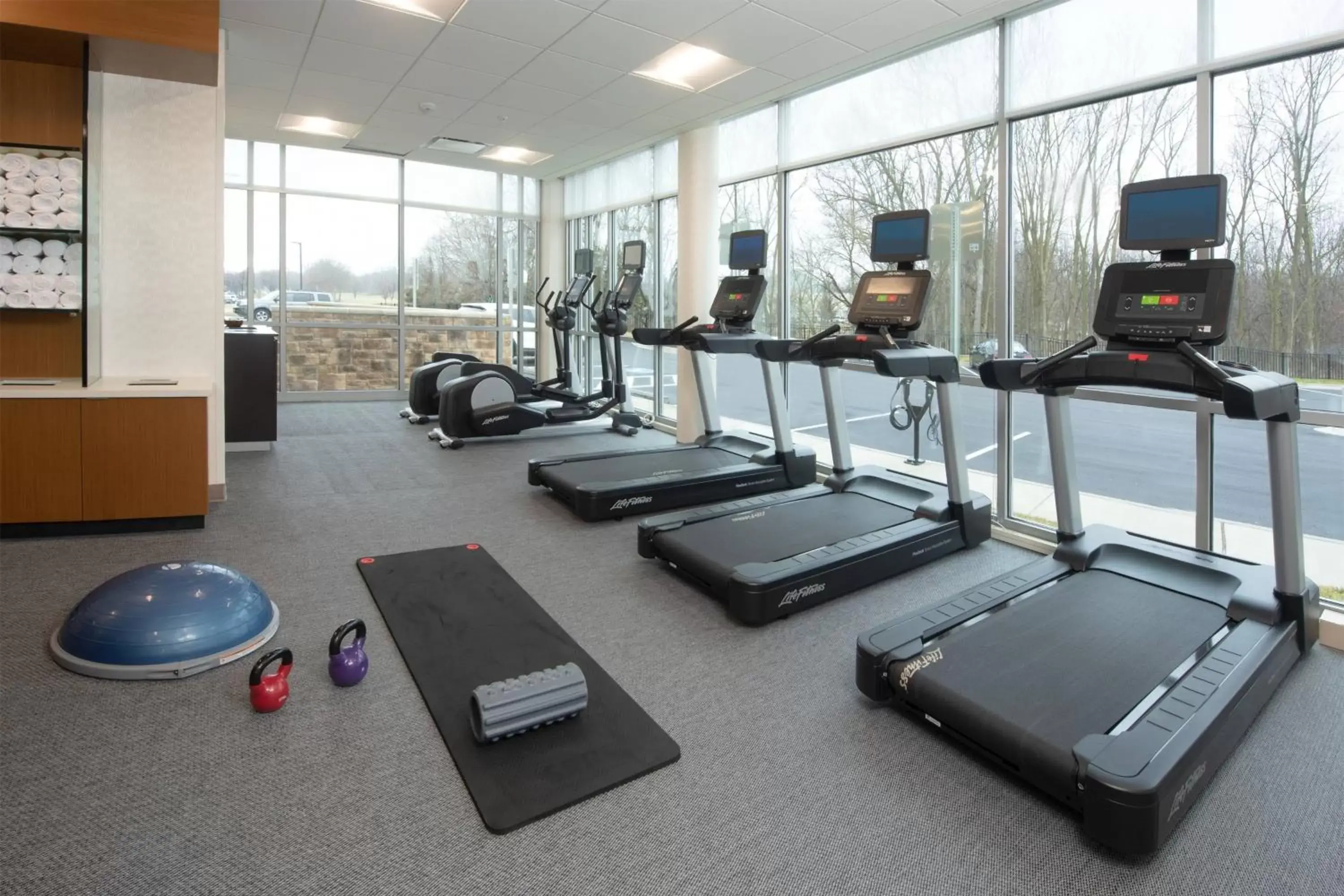 Fitness centre/facilities, Fitness Center/Facilities in SpringHill Suites By Marriott Frederick