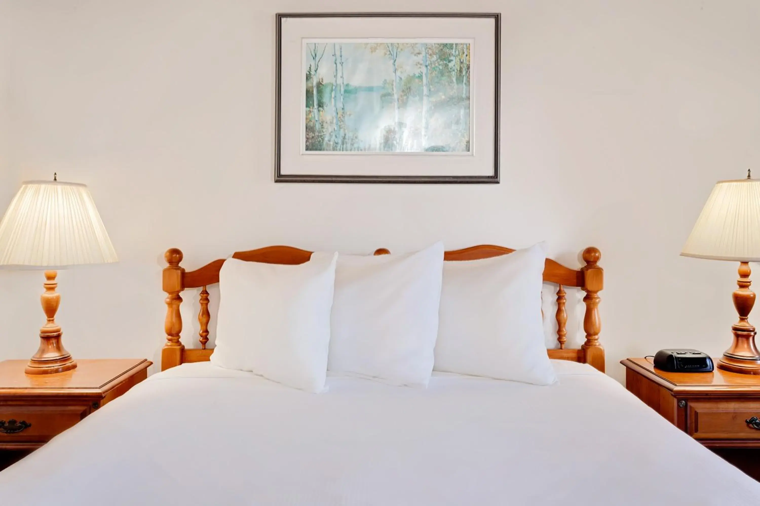 Bathroom, Bed in Ramada by Wyndham Gananoque Provincial Inn