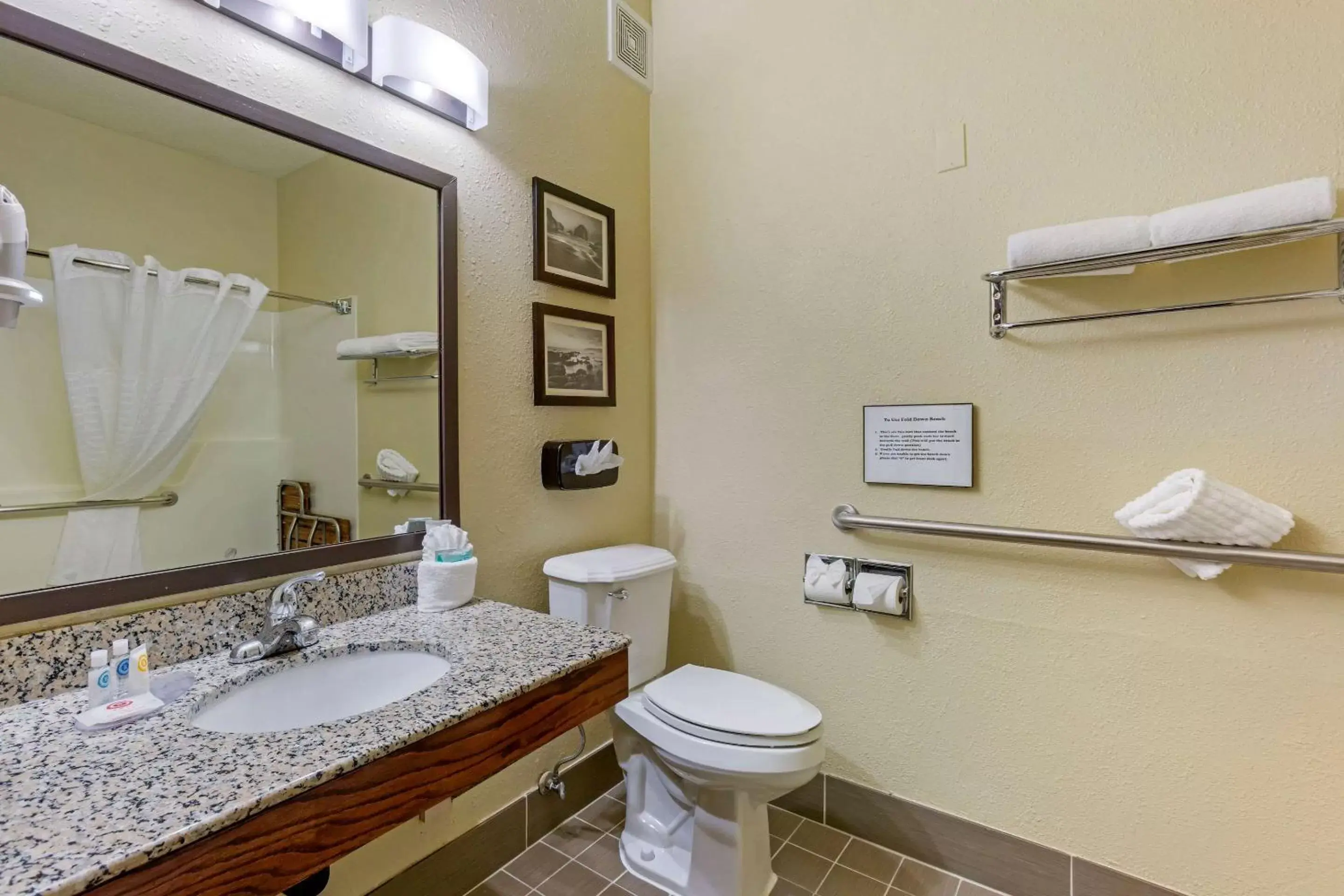 Bathroom in Comfort Inn South-Medford