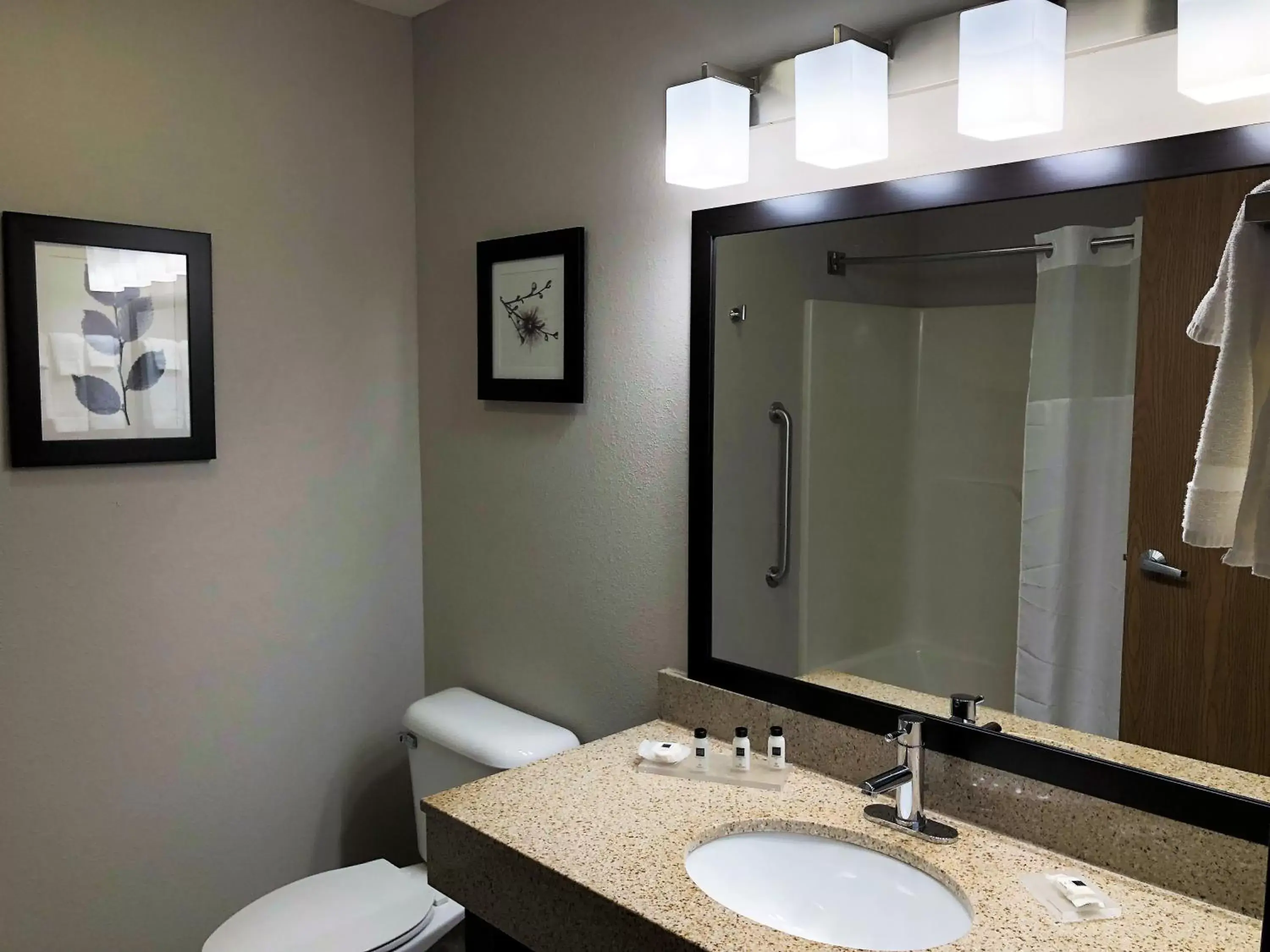 Bathroom in Country Inn & Suites by Radisson, Mt. Pleasant-Racine West, WI