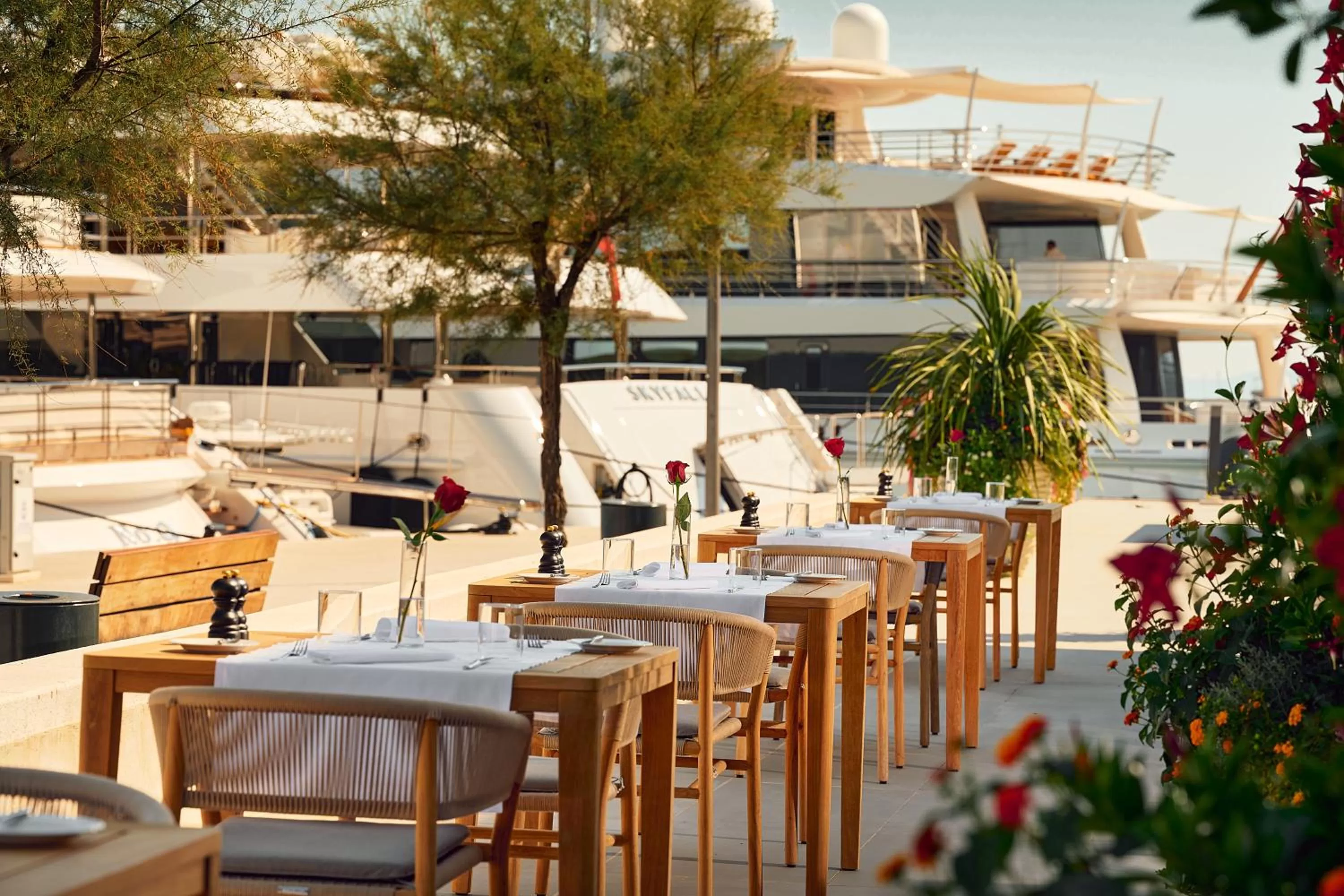 Restaurant/places to eat in Hotel Ambasador