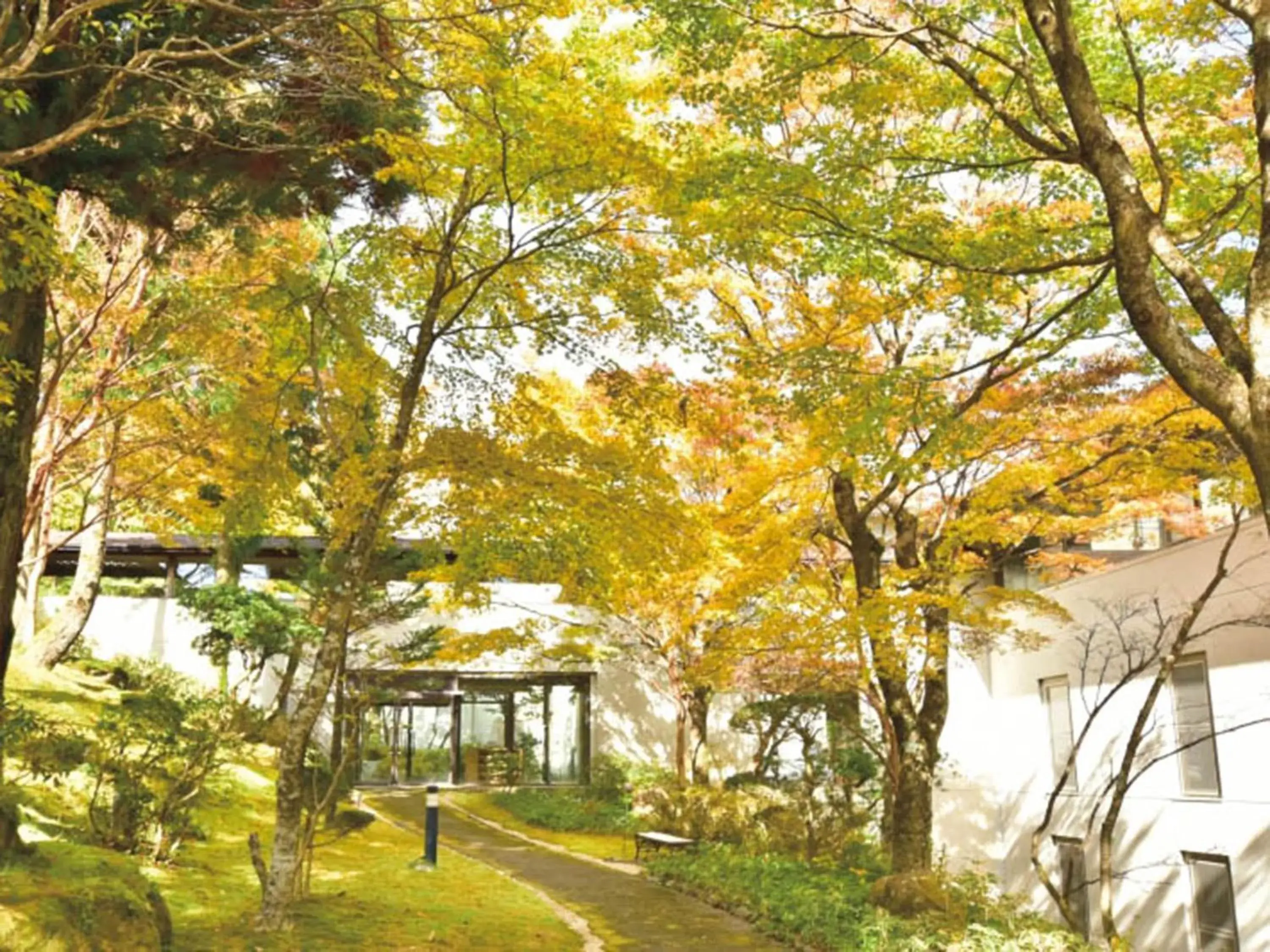 Natural landscape, Property Building in Hakone Yunohana Prince Hotel