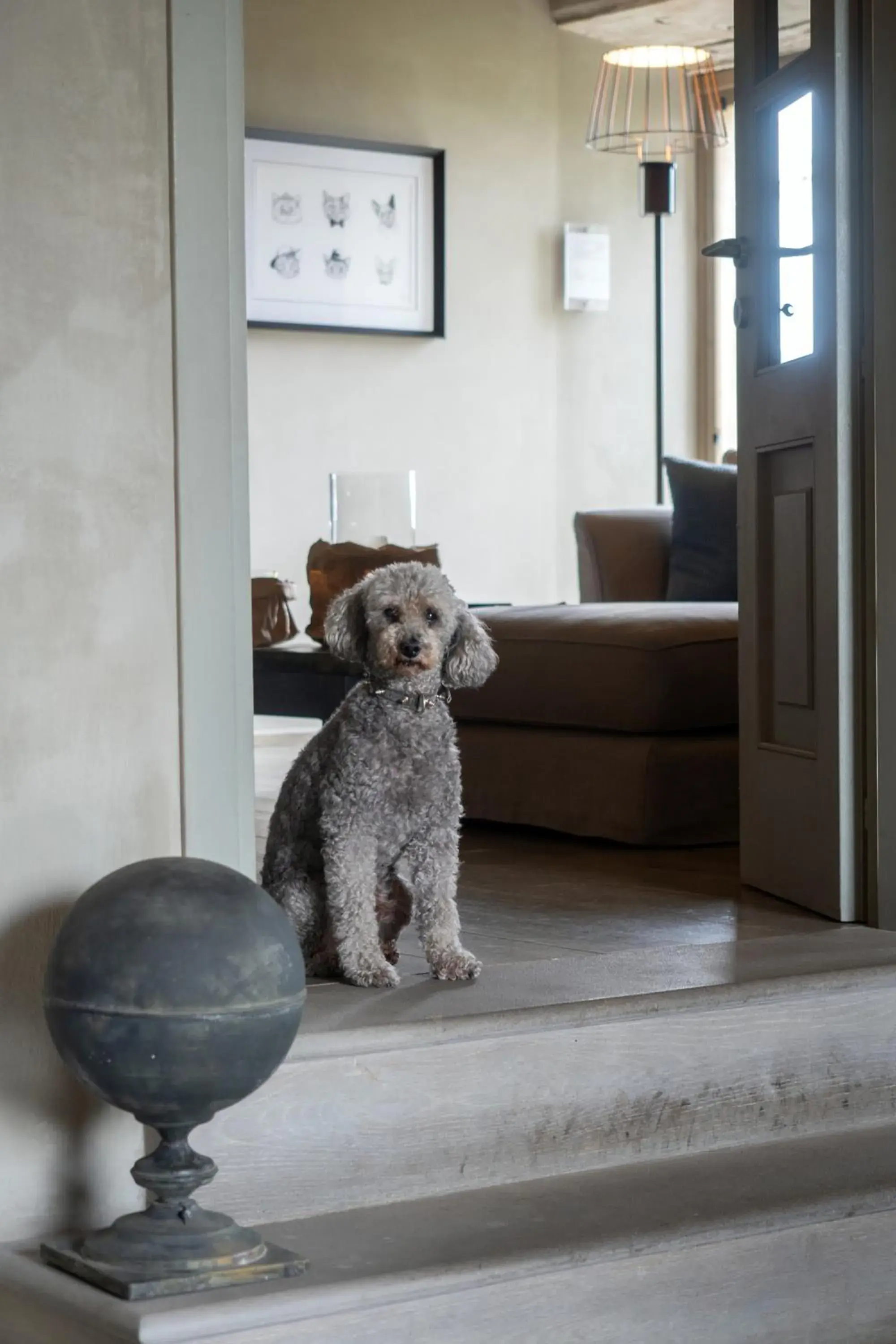 Pets in Villa Sassolini Country Boutique Hotel