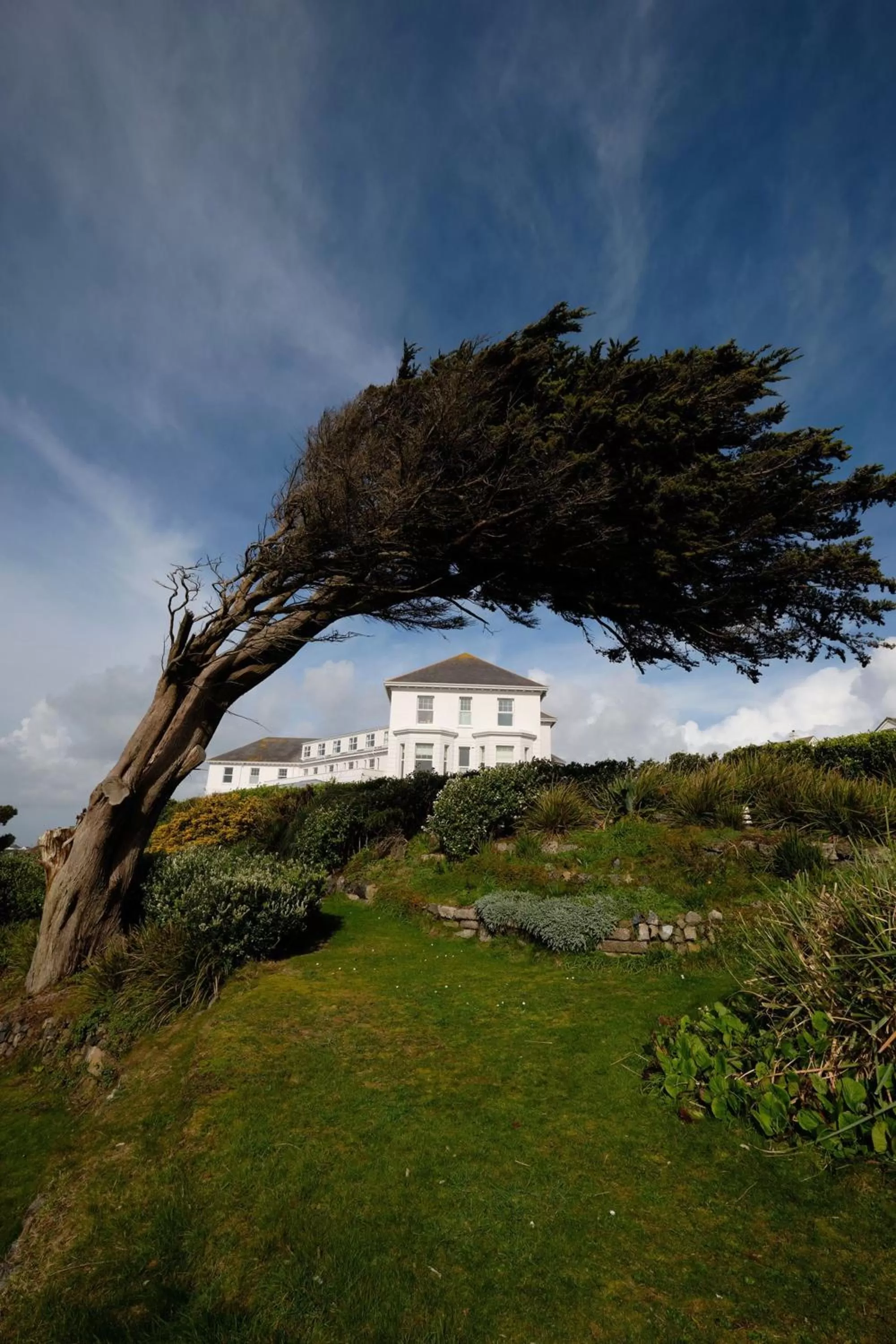 Property building in Polurrian on the Lizard