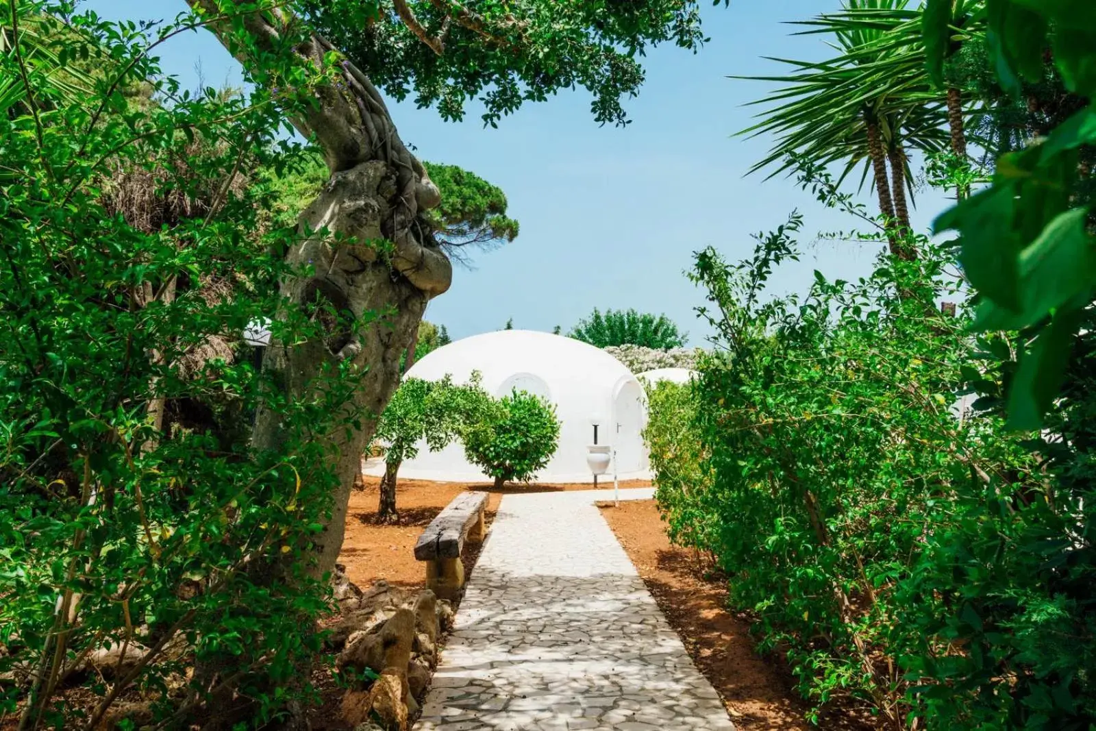 Natural landscape, Garden in Villa Favorita Hotel e Resort