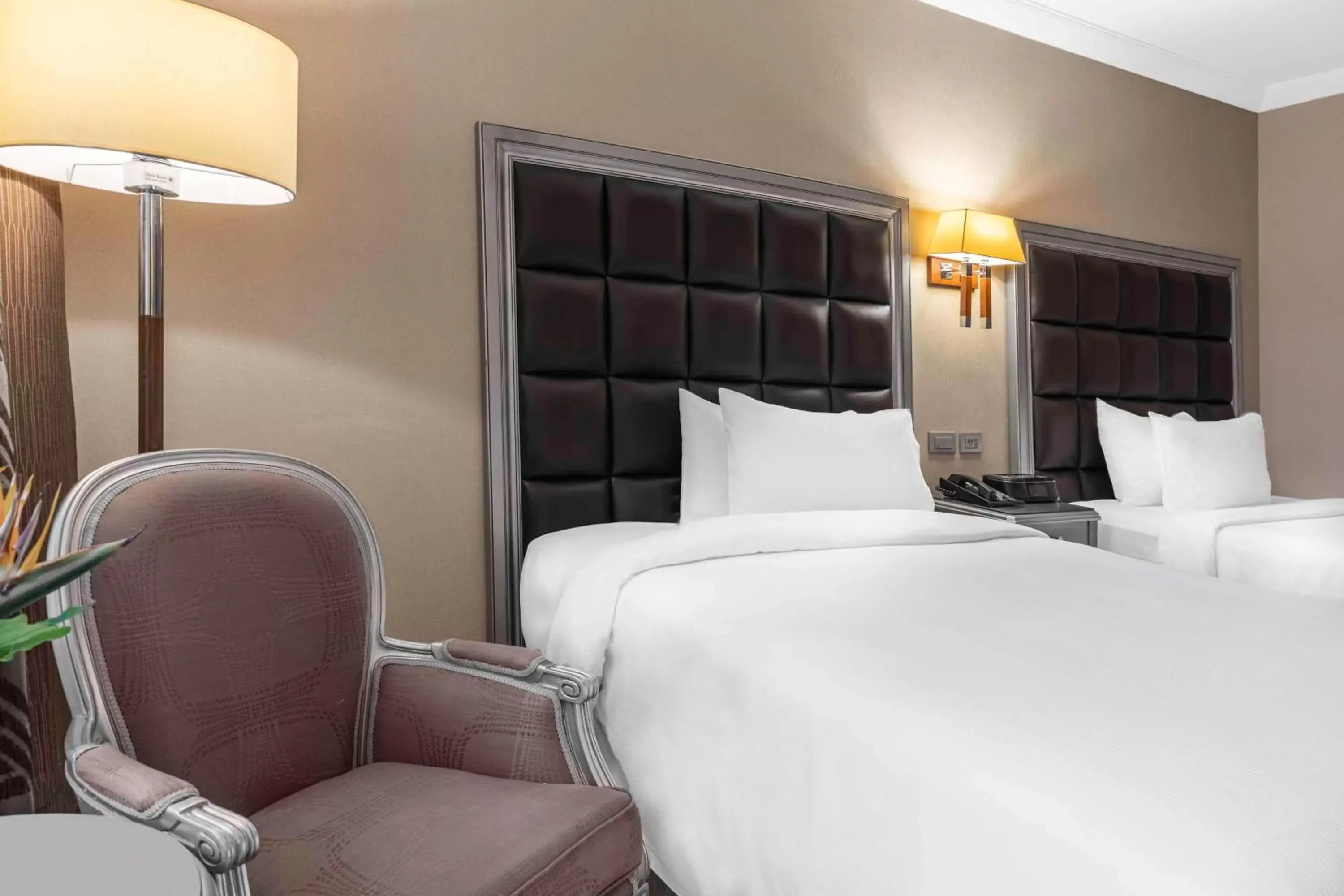 Bed in Hilton Alexandria Corniche