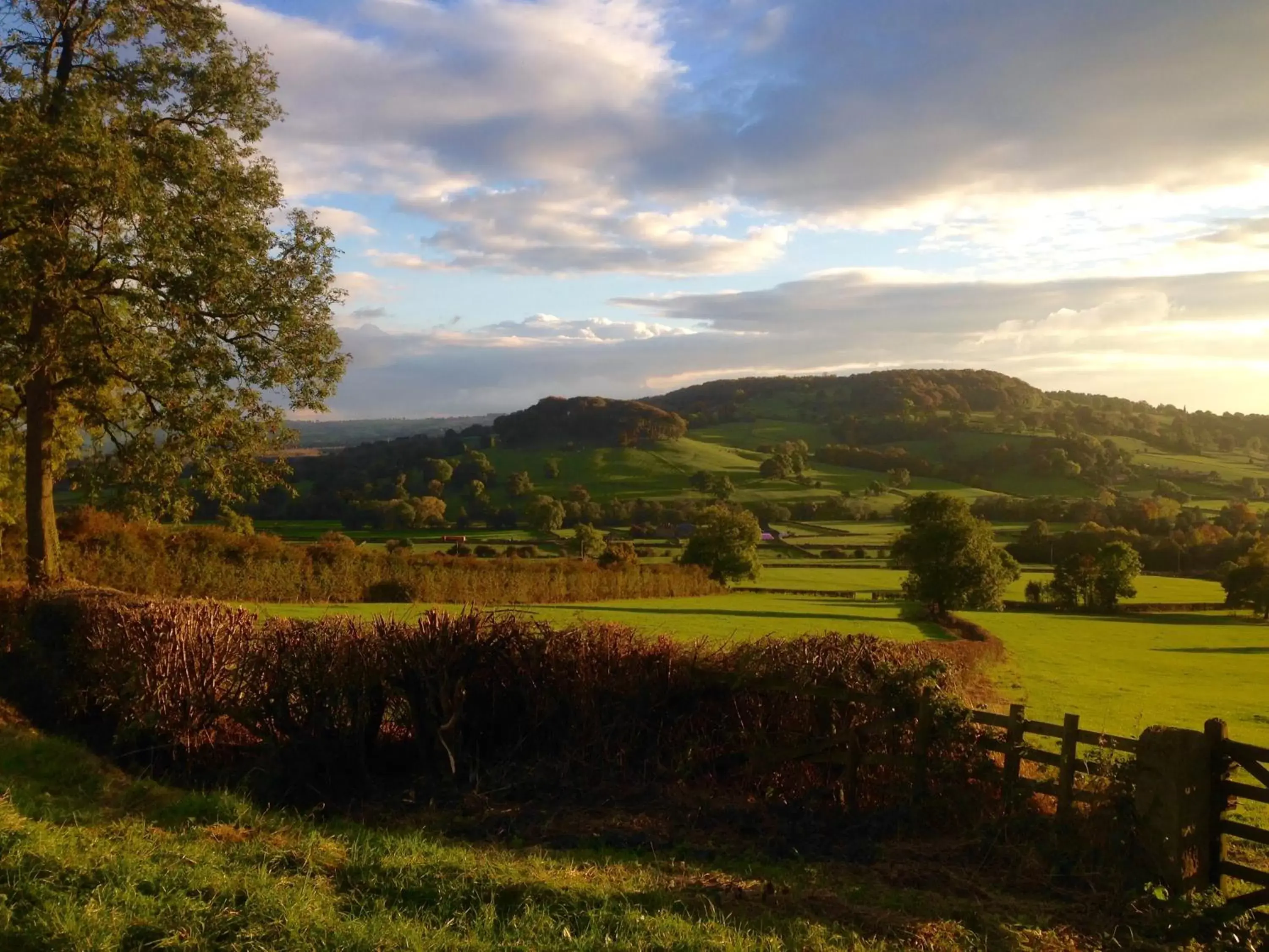 Natural landscape in The Old Station House