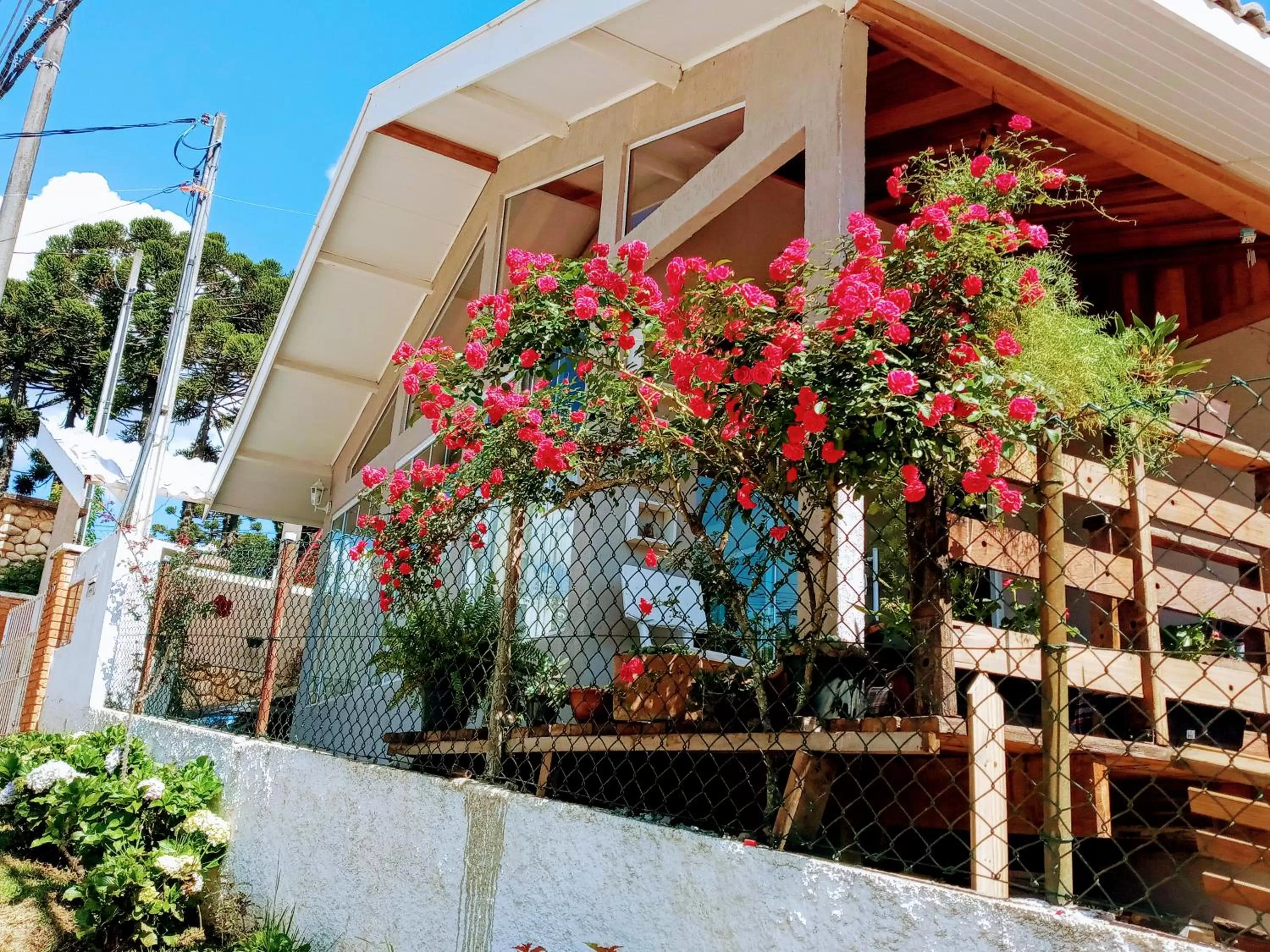 Property Building in Suítes para fins de semana