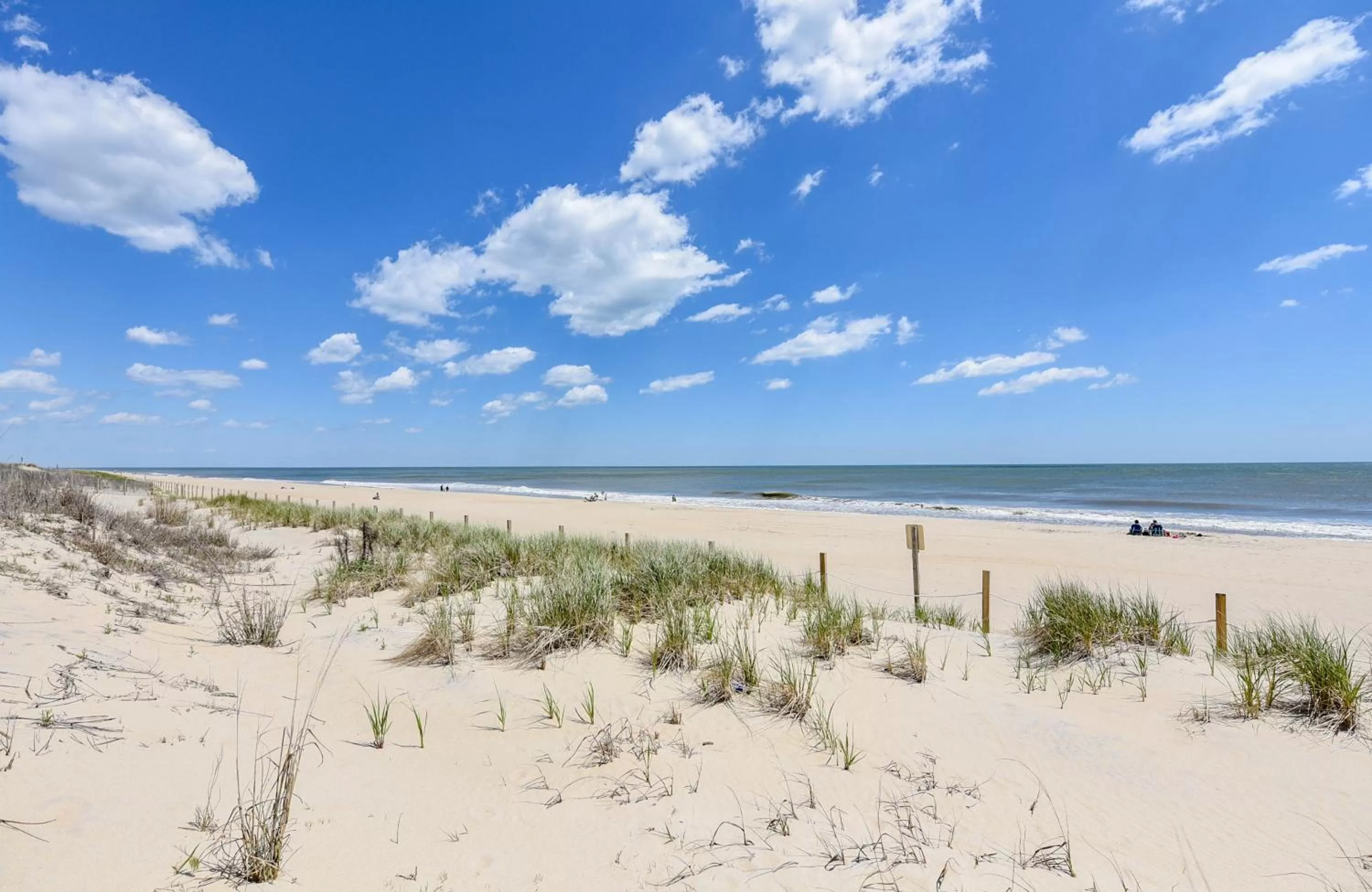 Beach in Princess Royale Oceanfront Resort