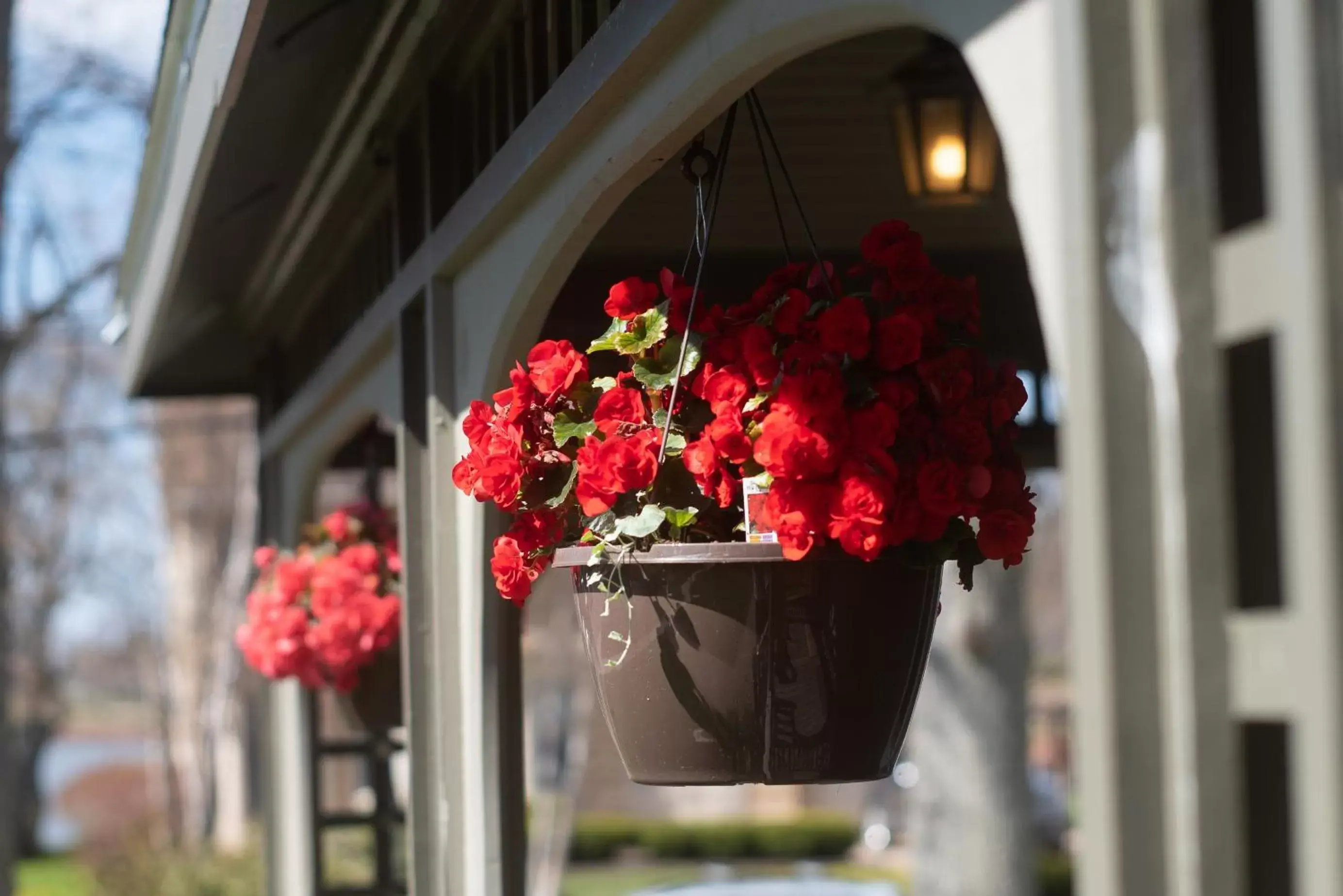 Balcony/Terrace in No 1 Grafton Inn