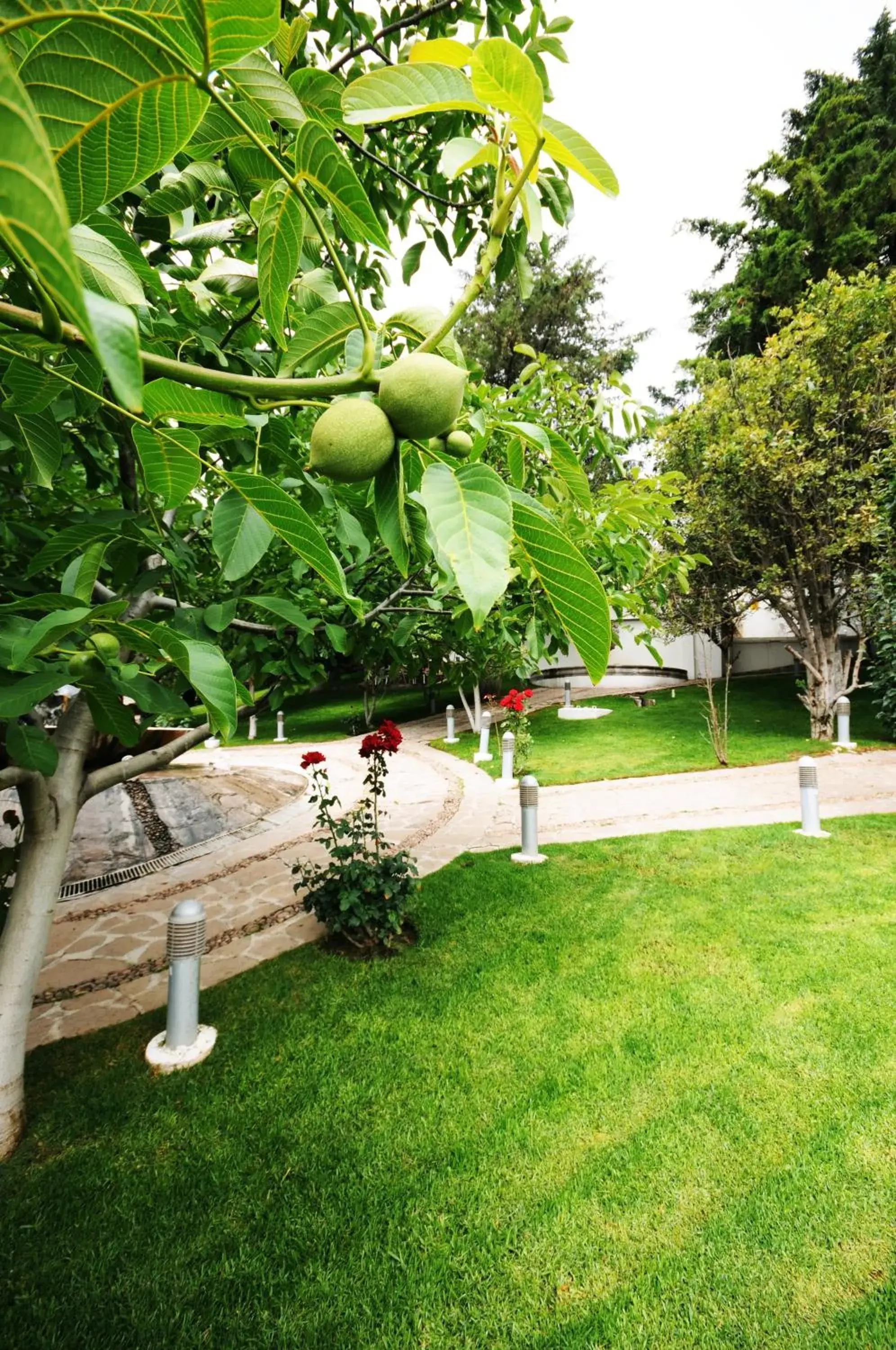 Garden, Swimming Pool in Hotel Baruk Teleferico y Mina