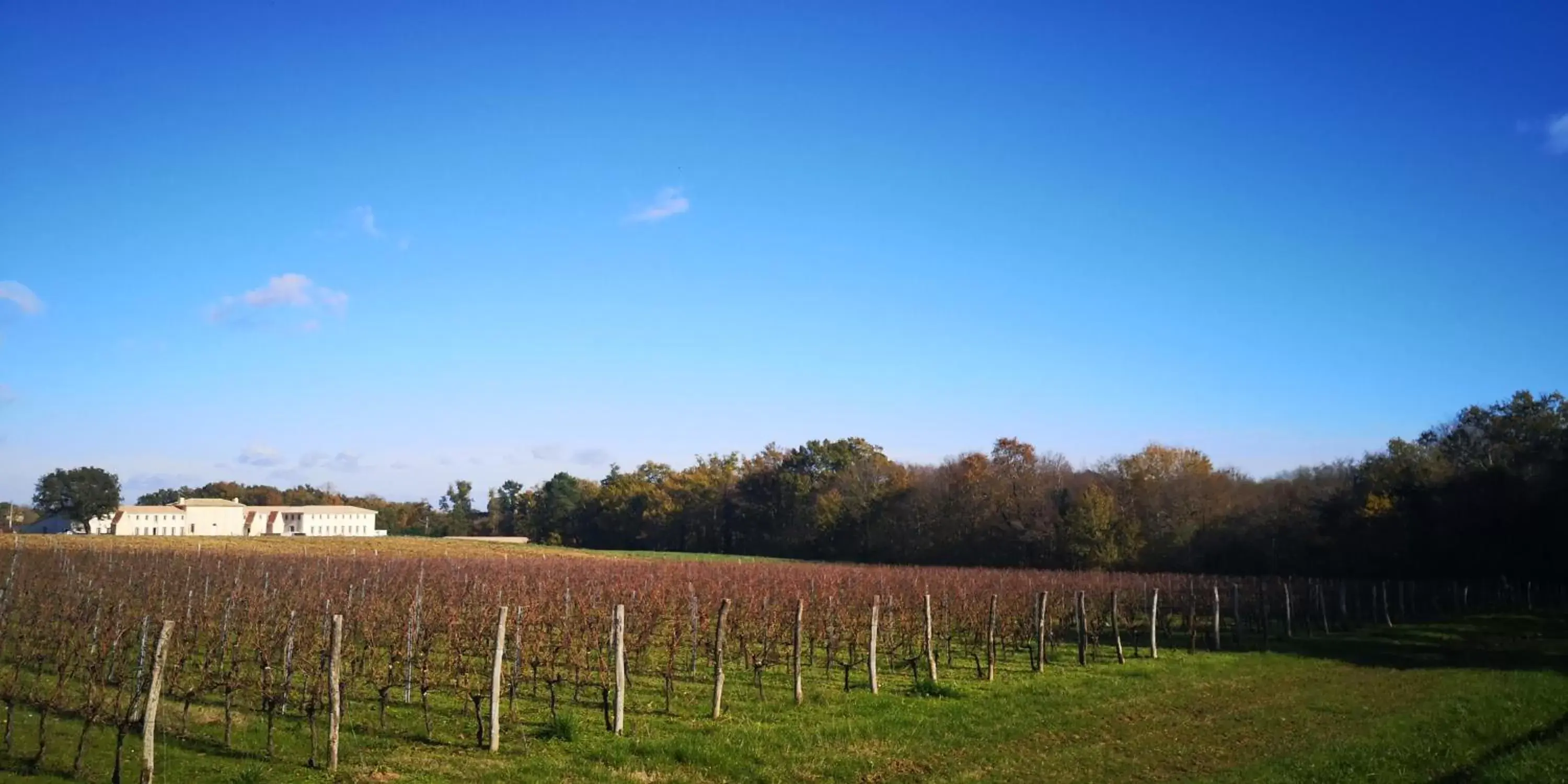 Natural landscape in Château Fage - La Maison des Vignes - Groupe LES COLLECTIONNEURS