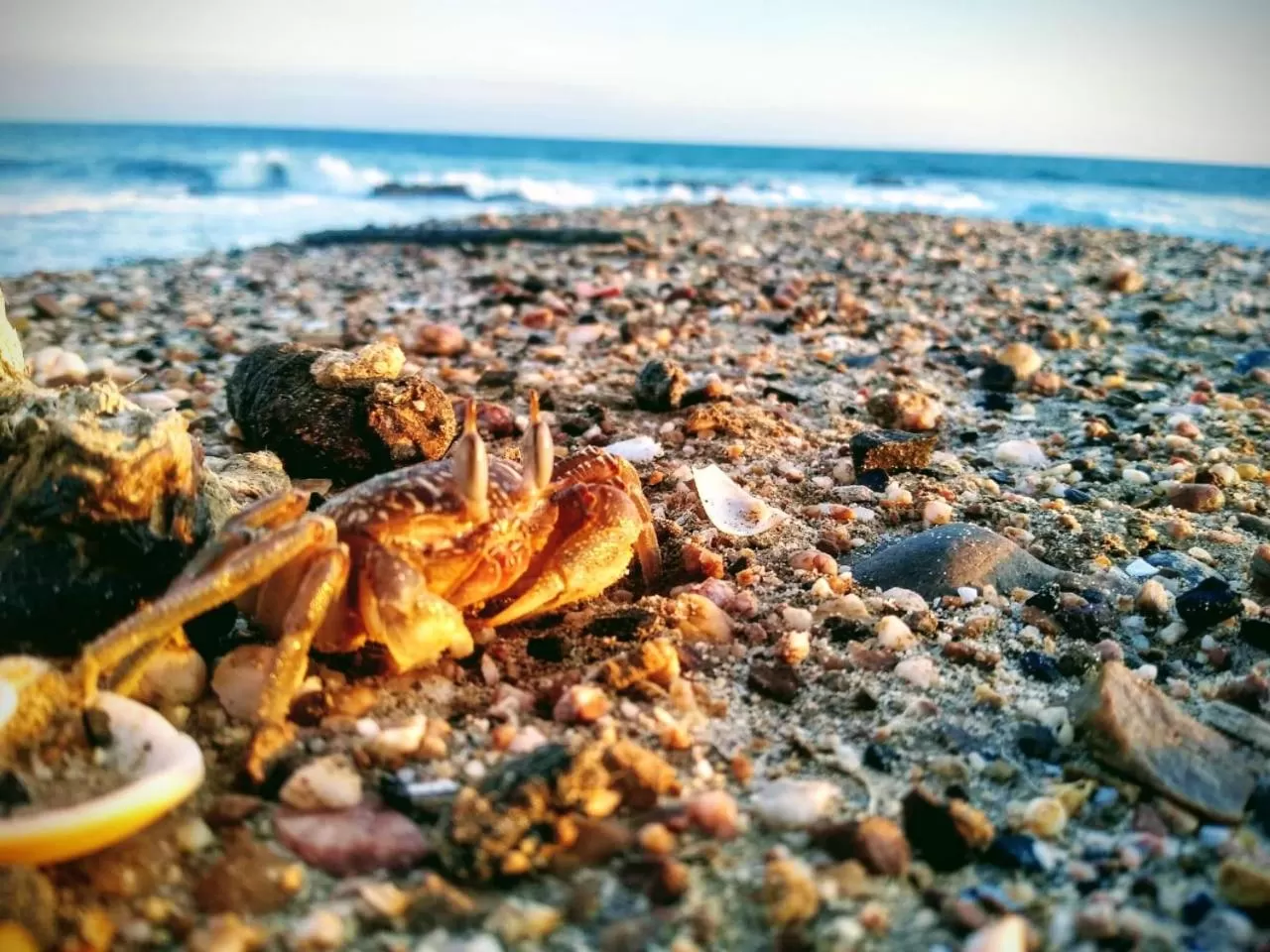 Beach in Un Dia Boutique Resort