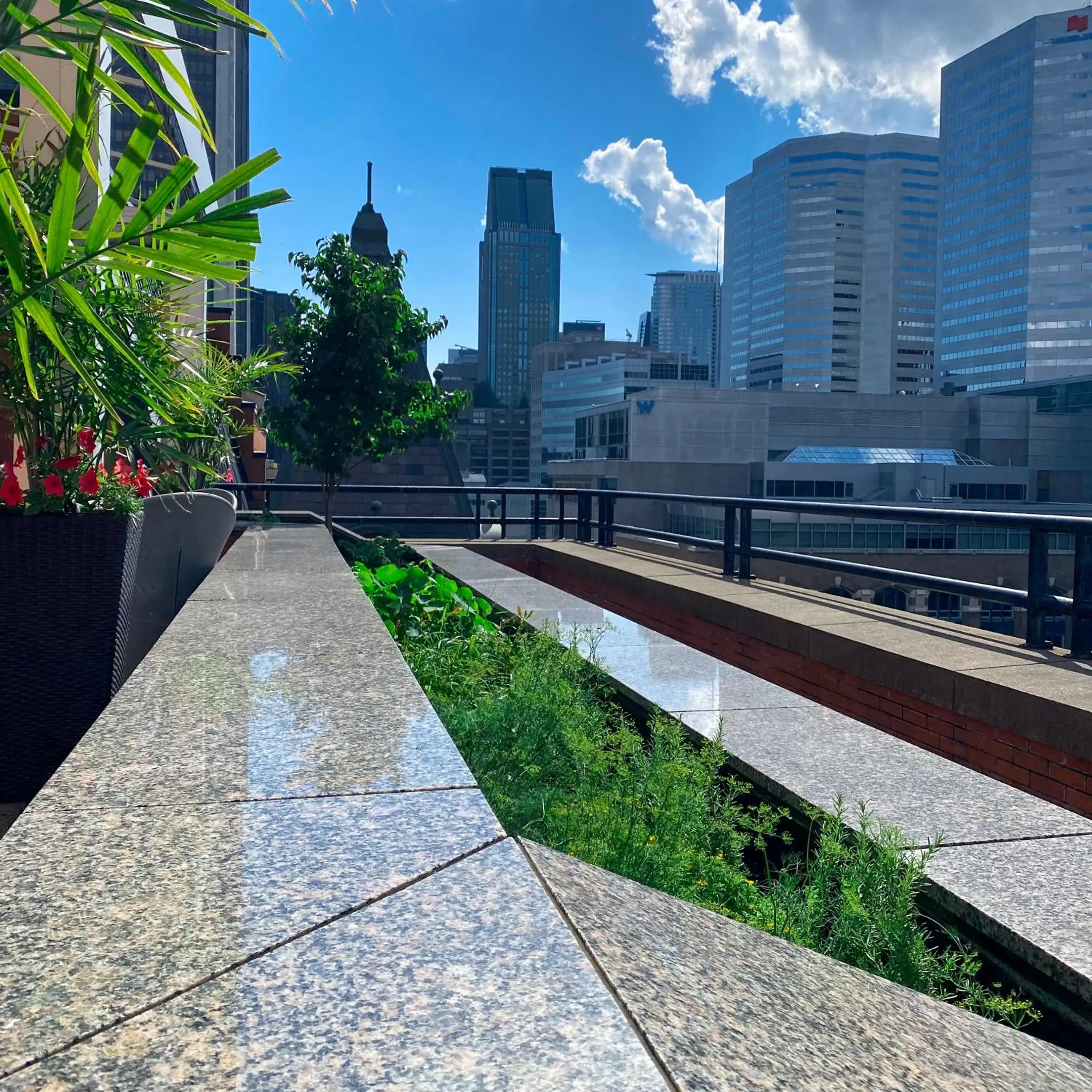 Balcony/Terrace in InterContinental Montreal, an IHG Hotel