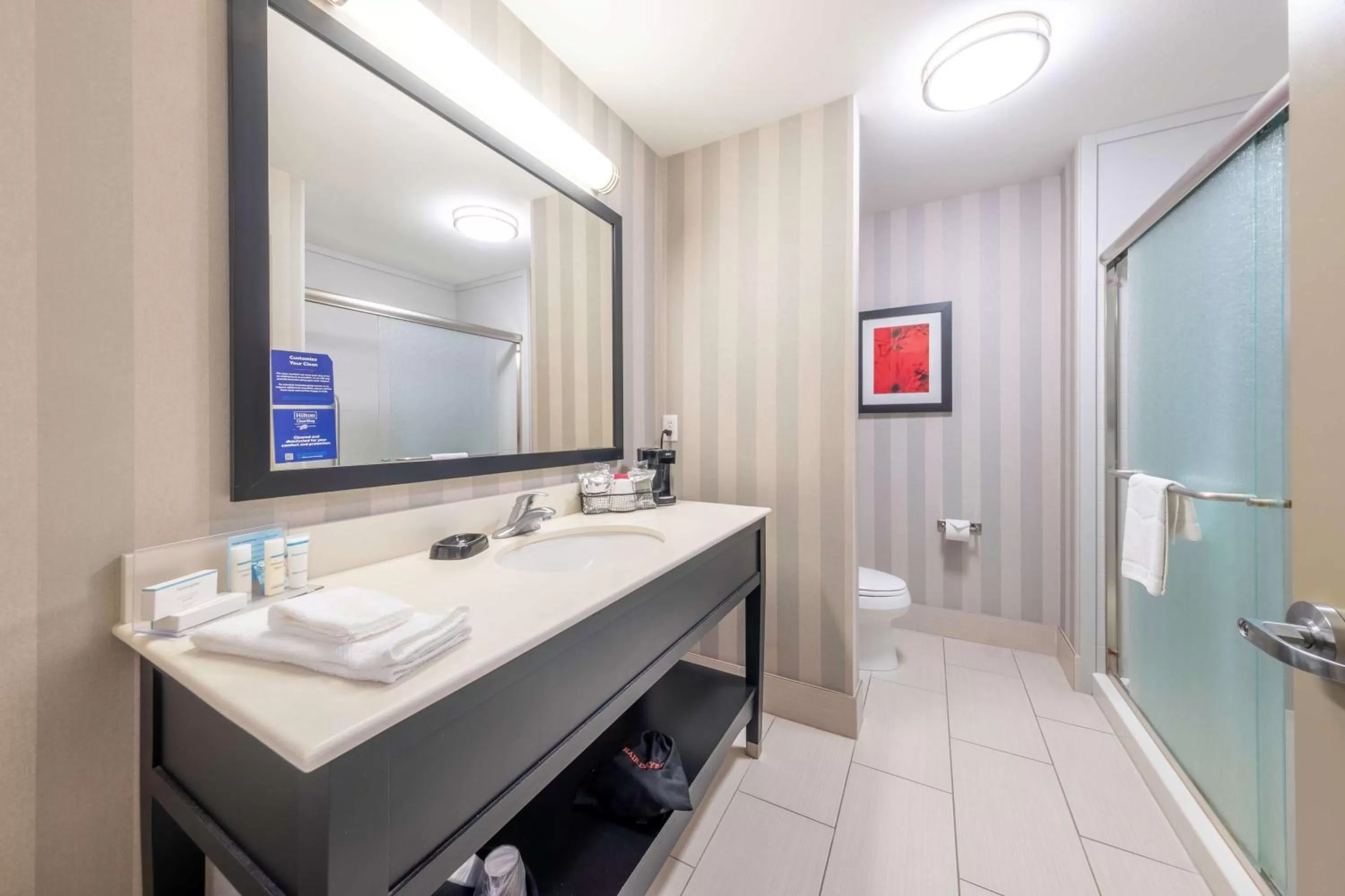 Bathroom in Hampton Inn & Suites DuPont