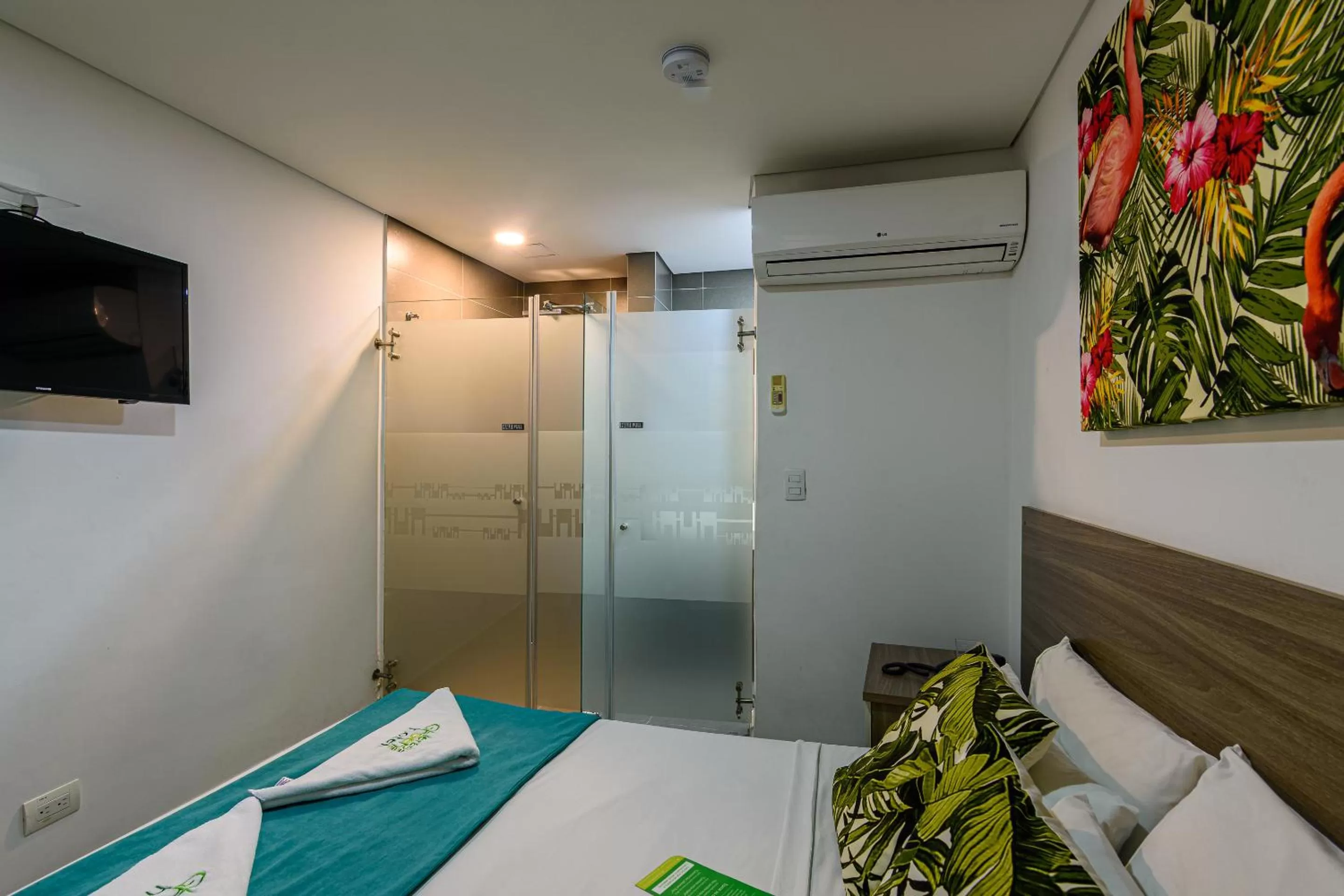 TV and multimedia in Lleras Green Hotel