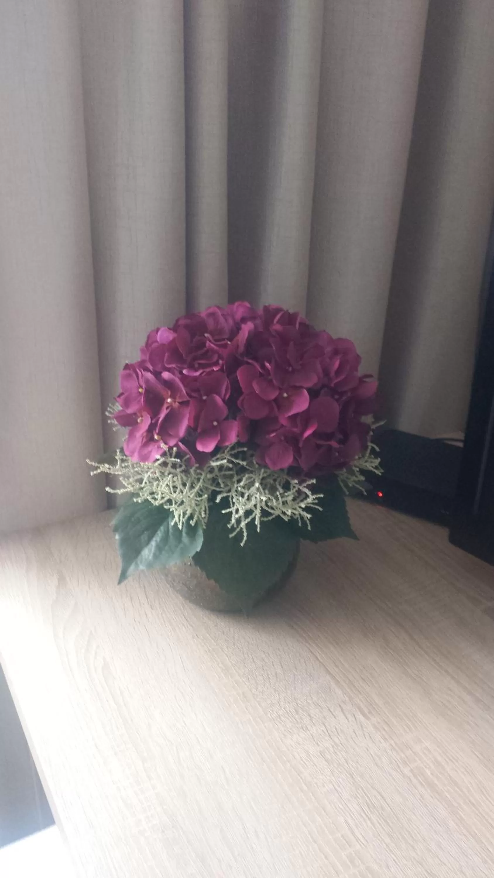 Ubytování Cukrovar