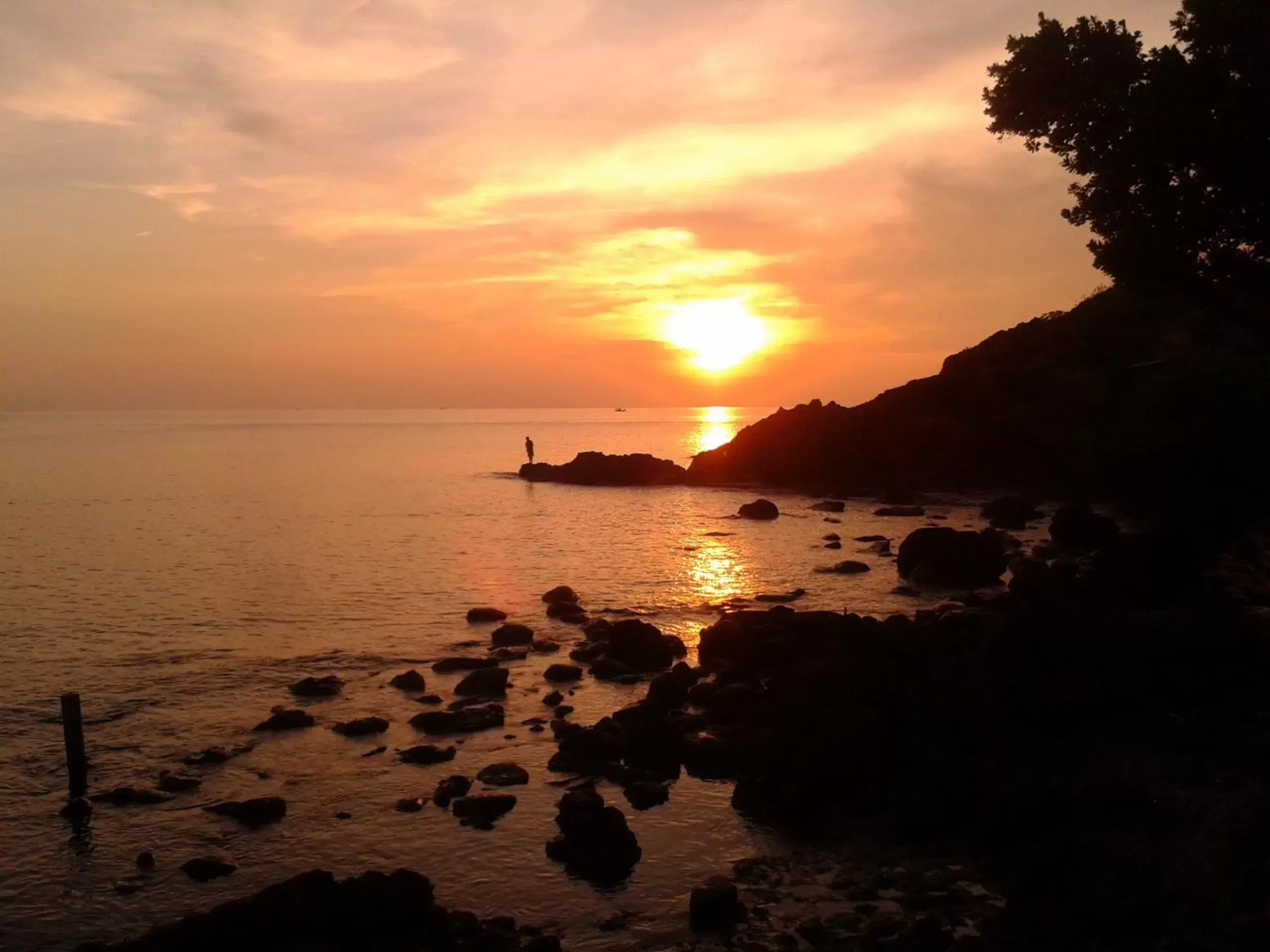 View (from property/room), Sunrise/Sunset in Cliff Cottage