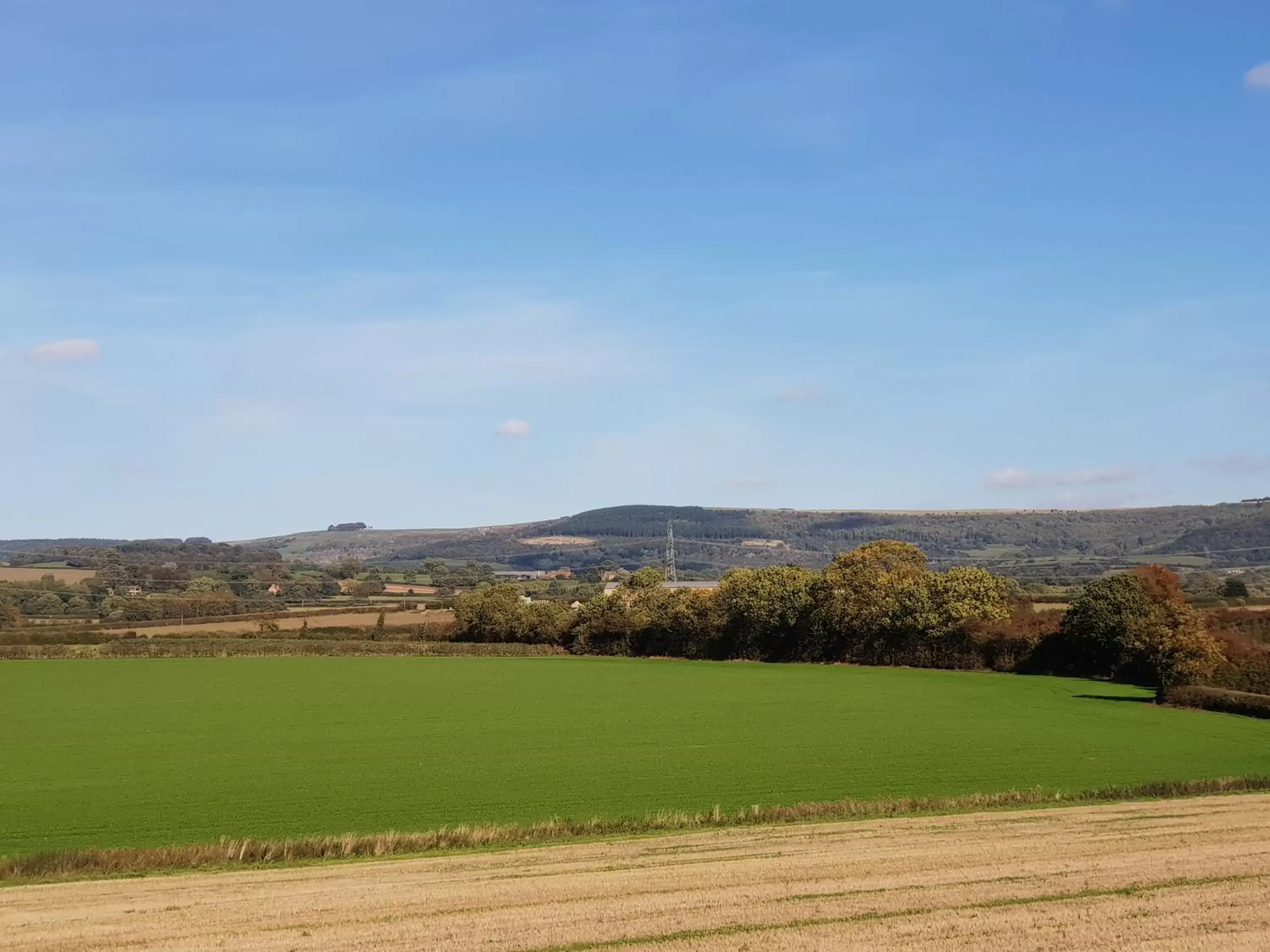 Natural landscape in OYO White Horse Lodge Hotel, East Thirsk