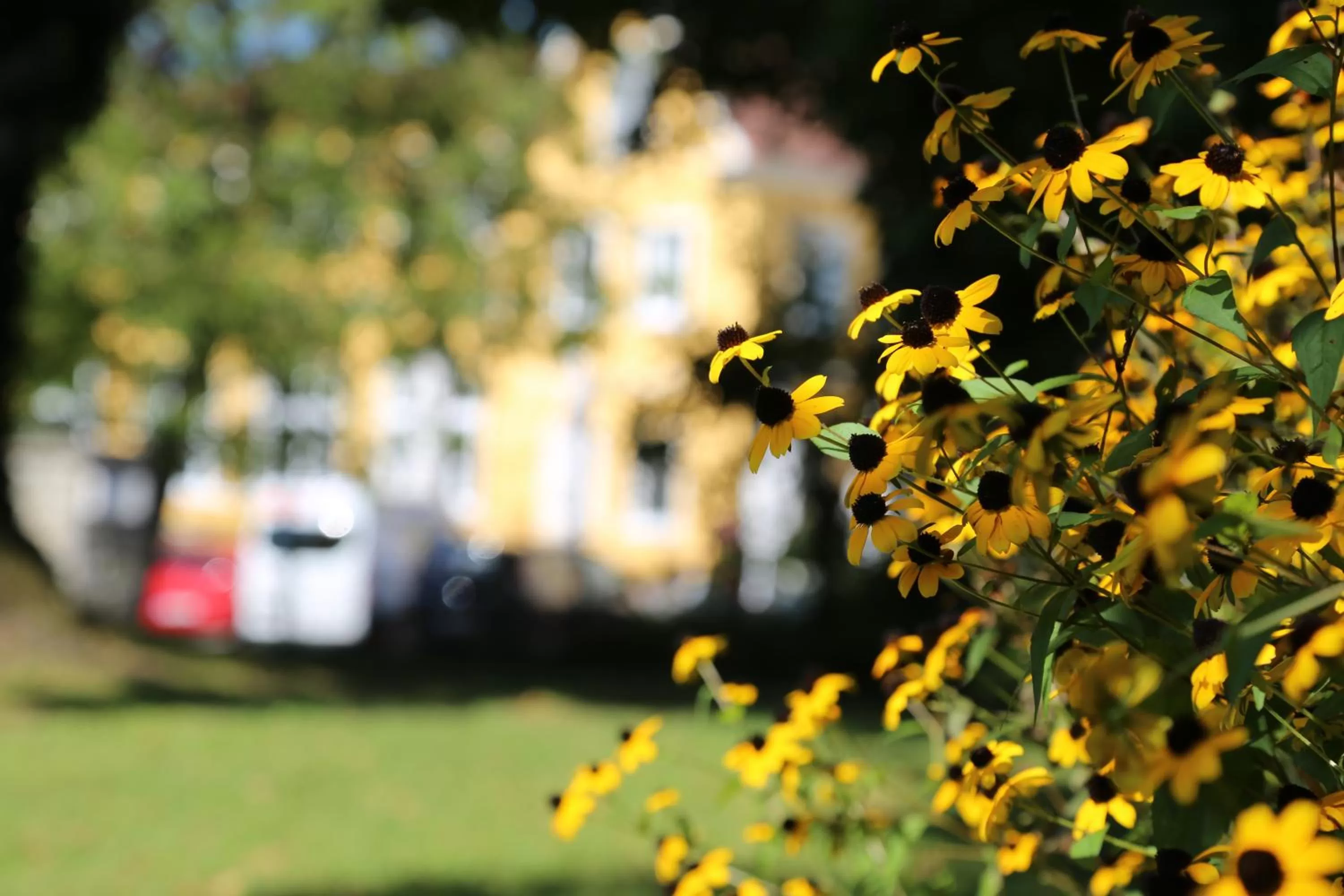 Property building in Babenbergerhof